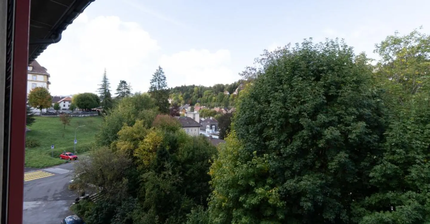 Appartement rénové avec jardin - Photo 4 sur 15