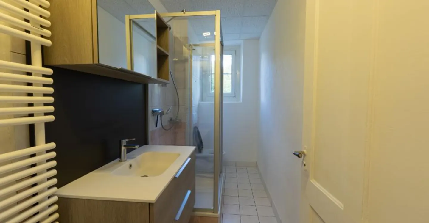 Appartement rénové avec jardin - Photo 13 sur 15