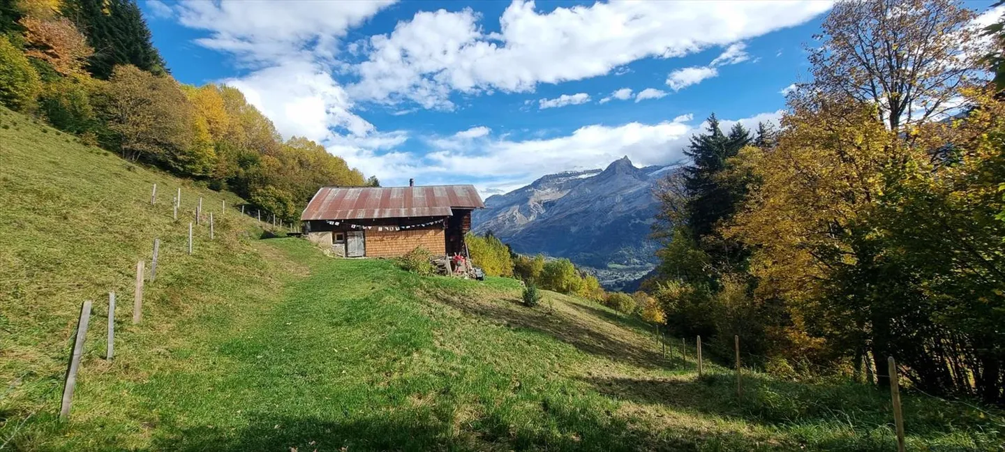 Chalet 8 rooms - Photo 6 of 13