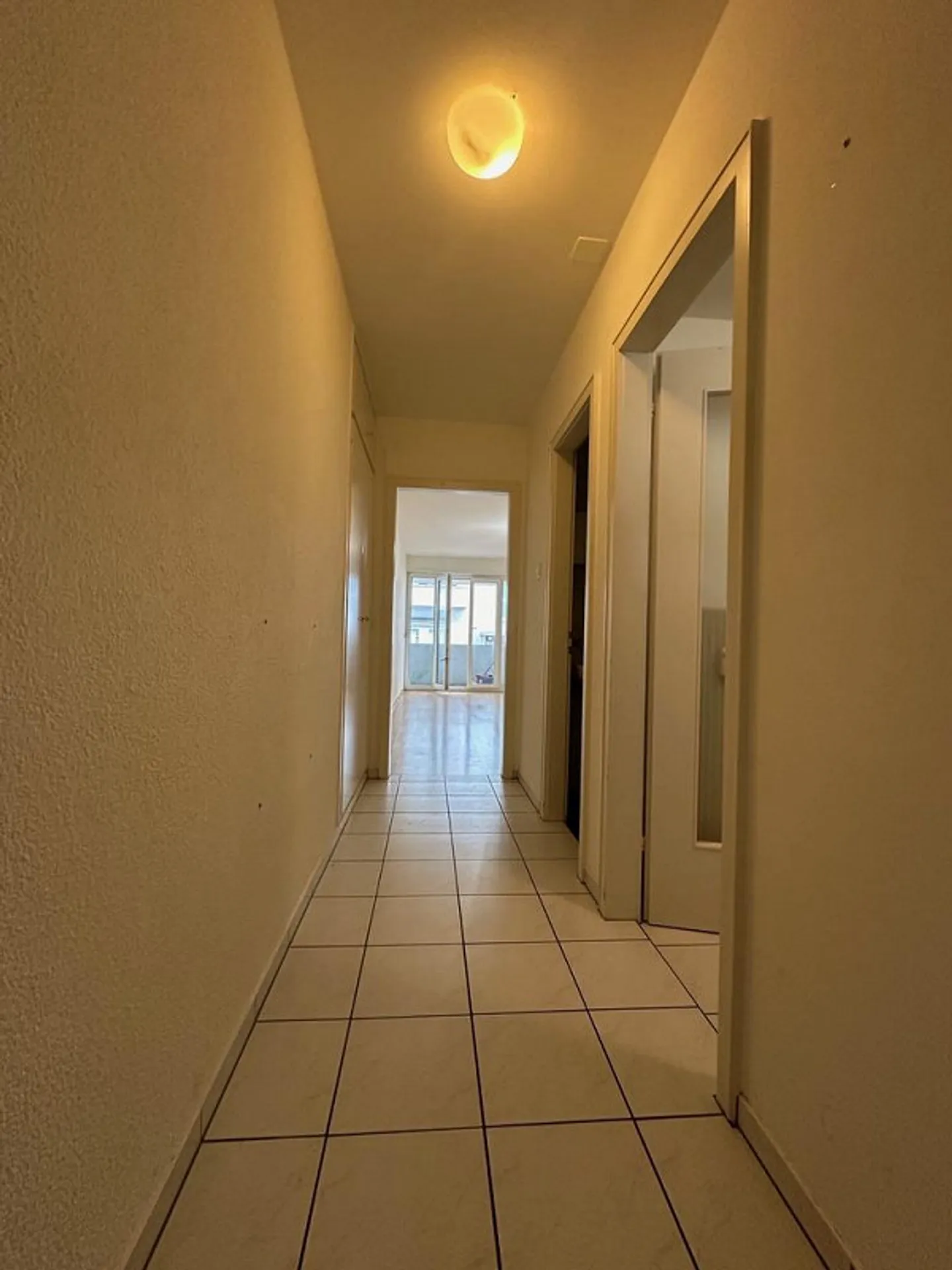 1-room apartment near the Rhine for rent - Photo 4 of 7