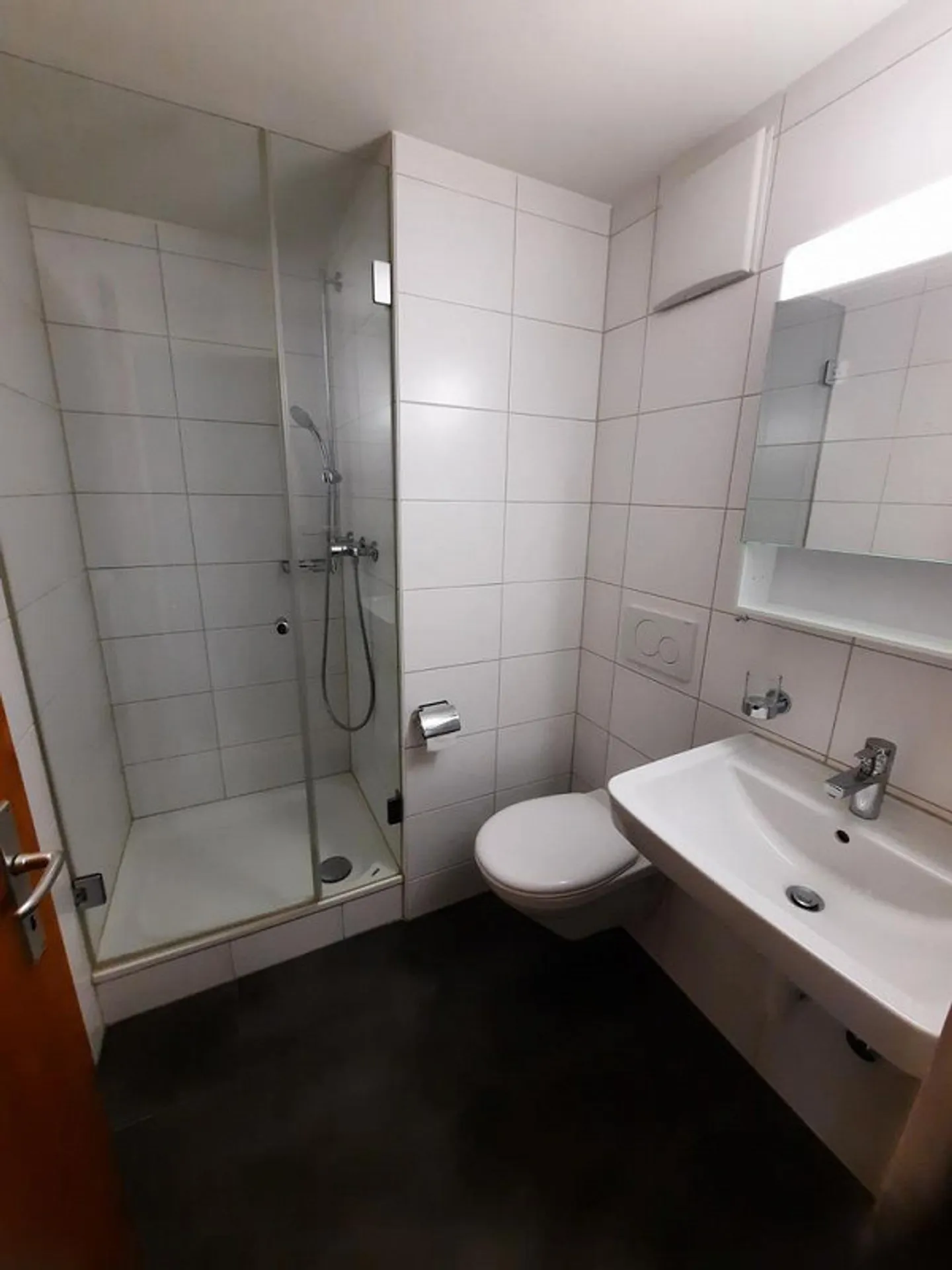 1-room apartment near the Rhine for rent - Photo 6 of 7