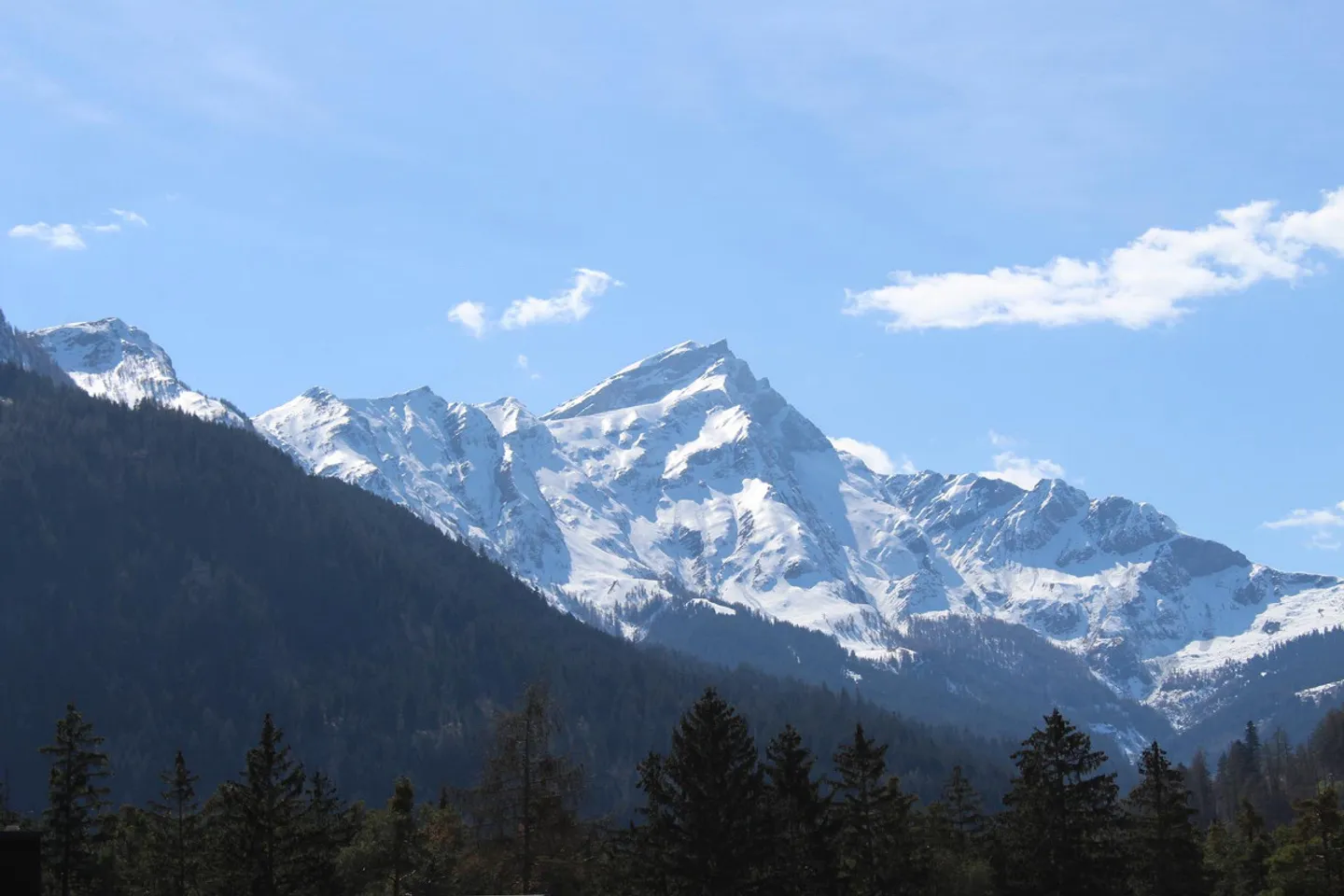 Special property with garden house and plenty of outdoor space - Photo 14 of 14