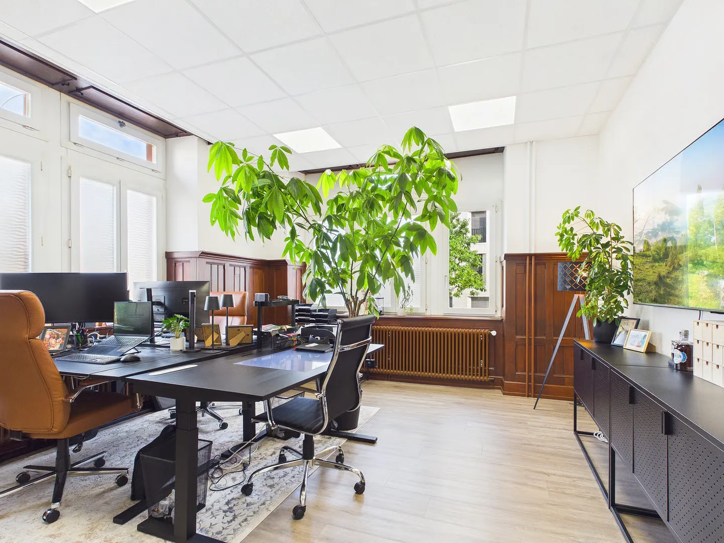 Representative Office Space in Rheinfelden - Photo 8 of 9