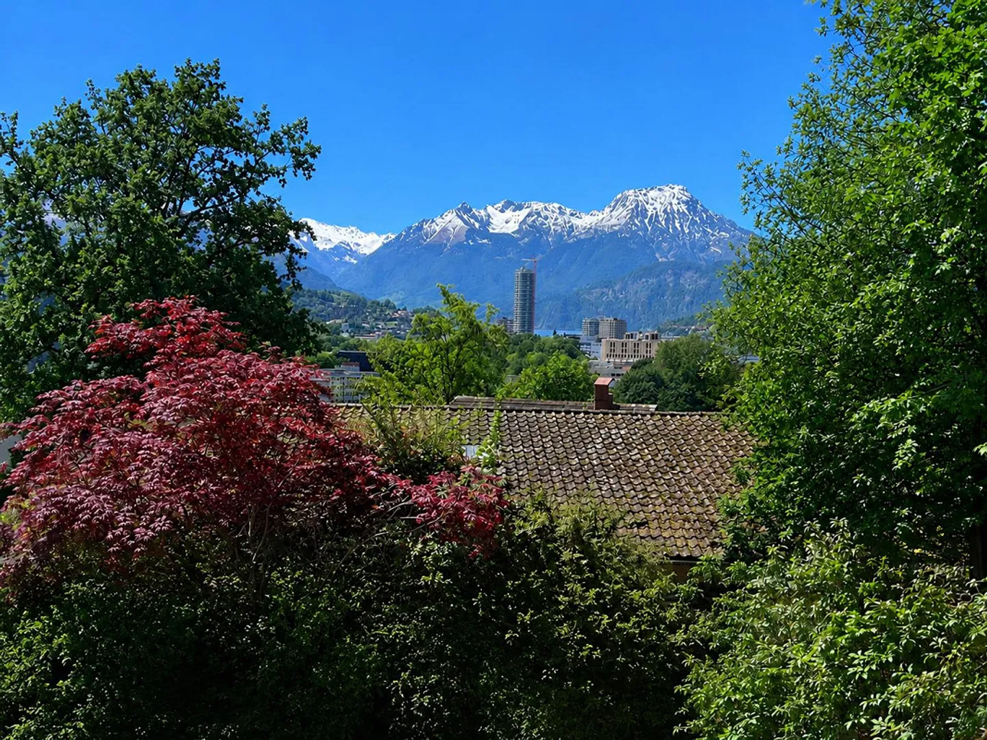 Ampio appartamento maisonette di 3,5 stanze con terrazza di 80 m2 e sole serale - Foto 1 di 6