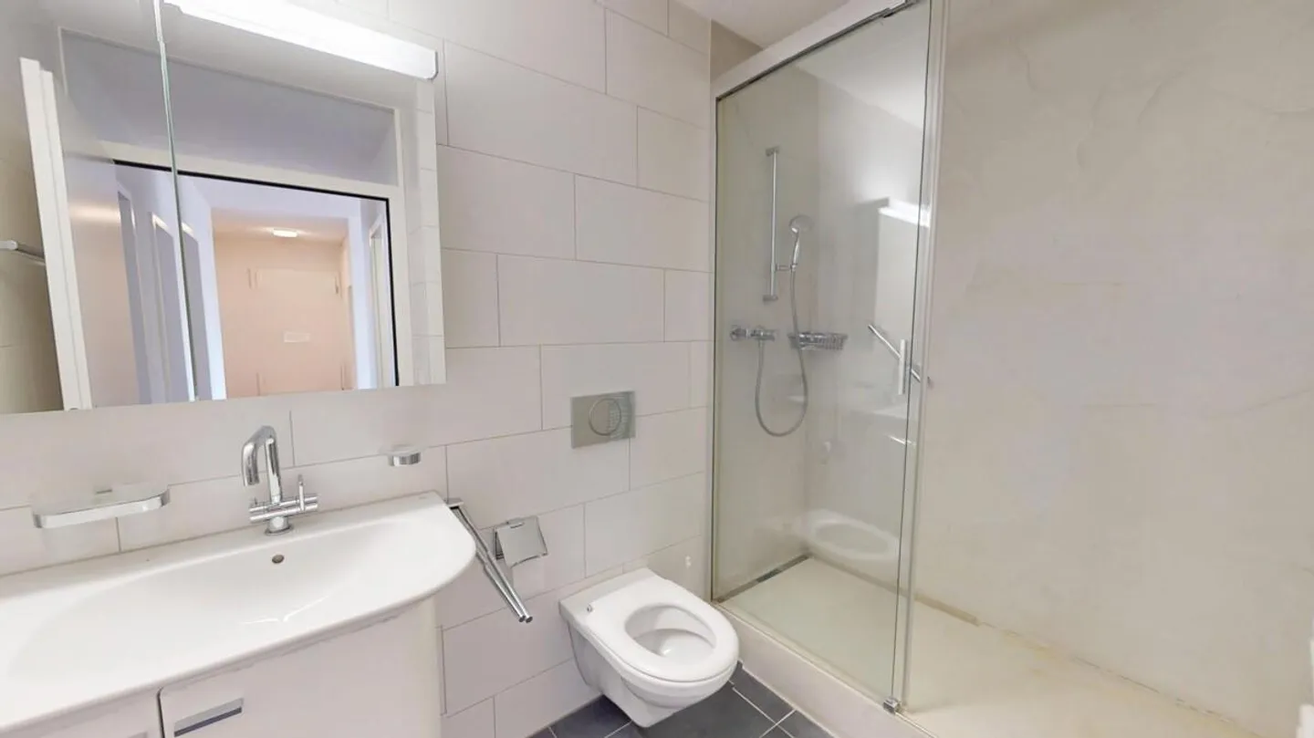Renovierte Wohnung in ruhiger Lage - Foto 10 von 11