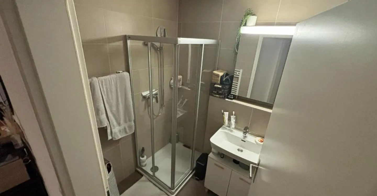 Appartamento 3 locali - Foto 8 di 9