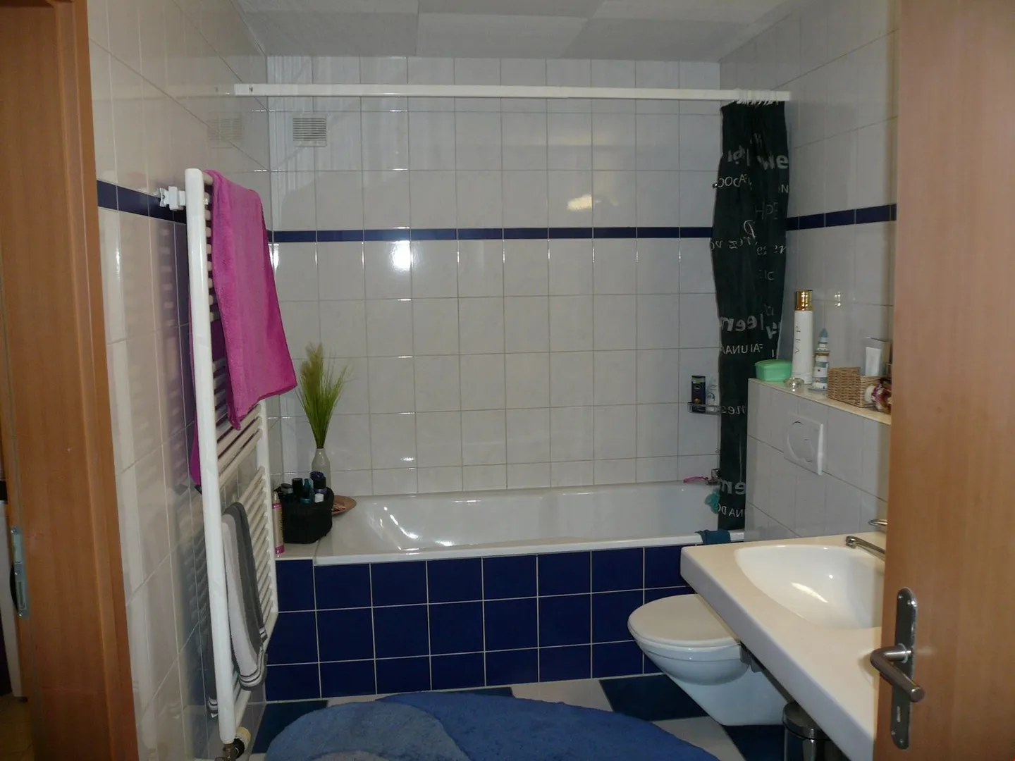 3.5 Chalet Apartment with Mountain View - Photo 10 of 11