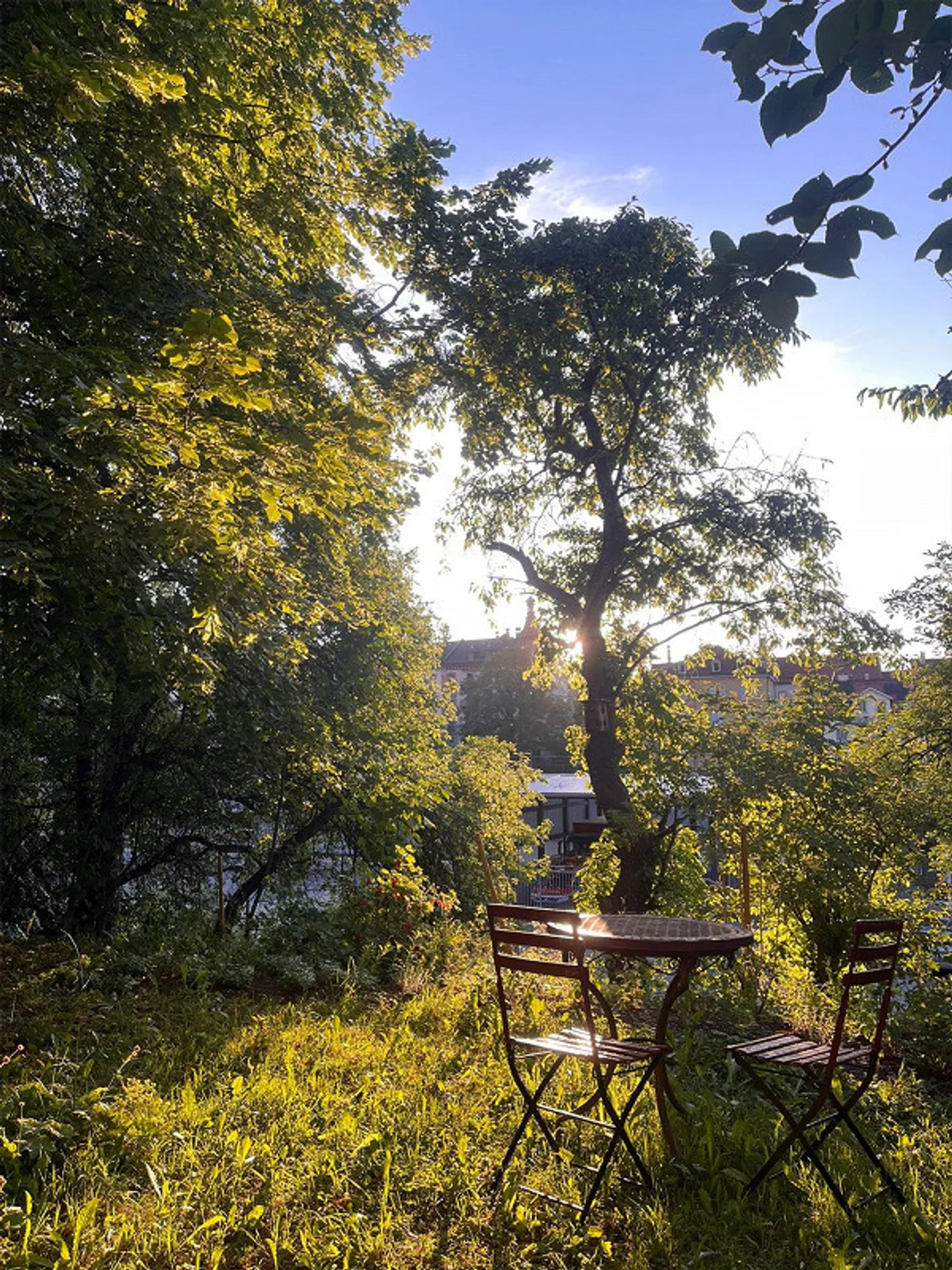 Appartement central de 3 pièces avec beaucoup de verdure - Photo 11 sur 13