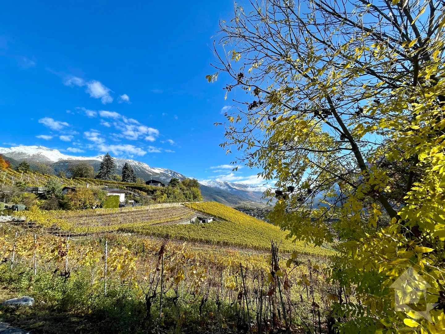 Da costruire, villa a schiera, 3 camere, vista panoramica - Foto 3 di 4