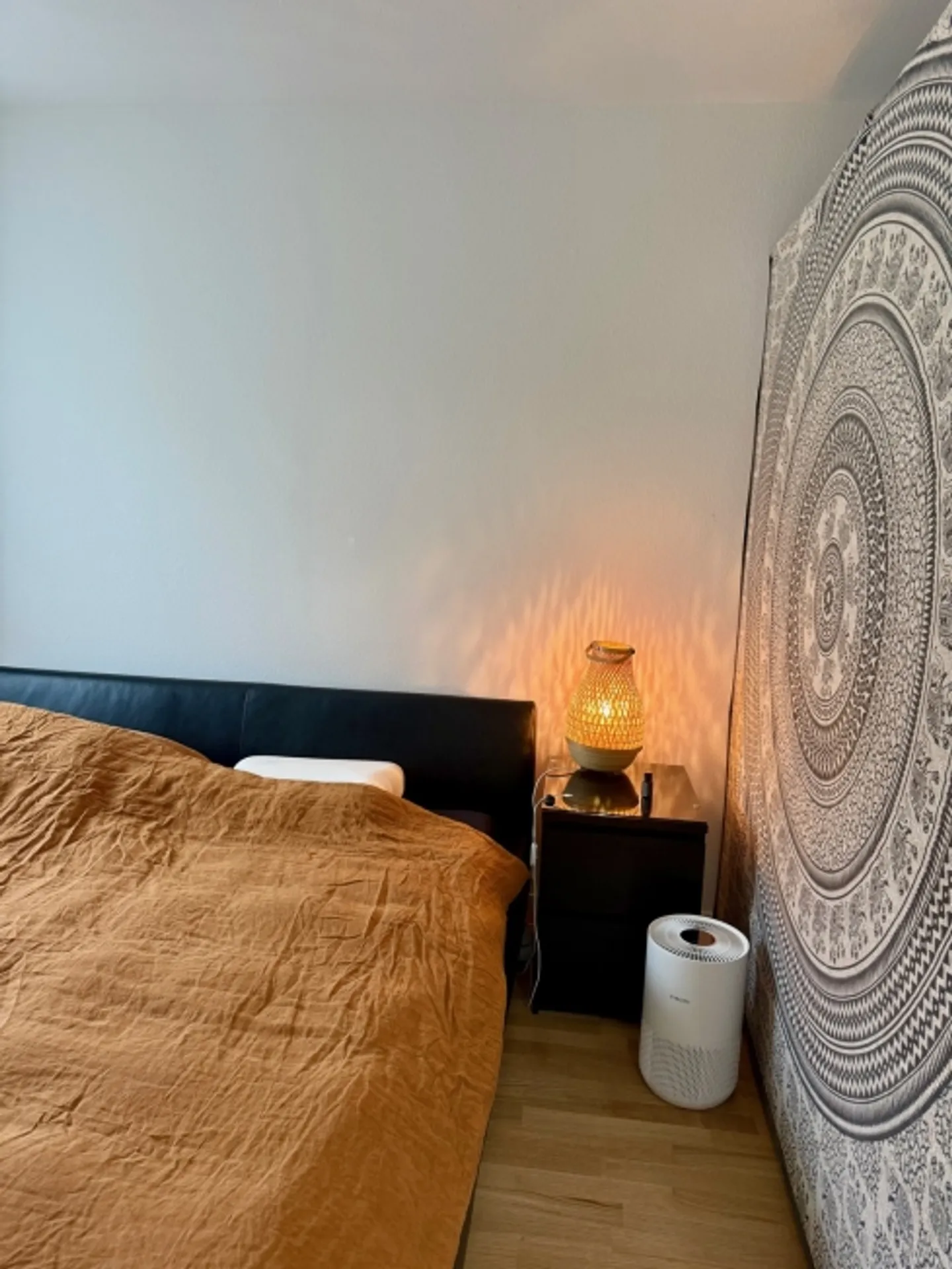 Appartement 3 pièces à Schaffhouse, meublé, temporaire - Photo 5 sur 10