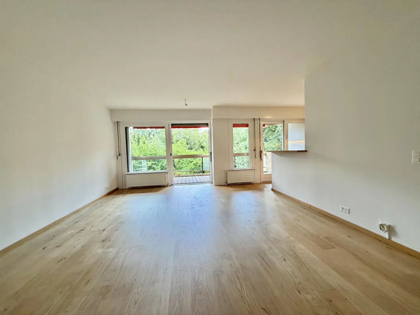 Renovated Apartment in Cologny - Photo 3 of 10