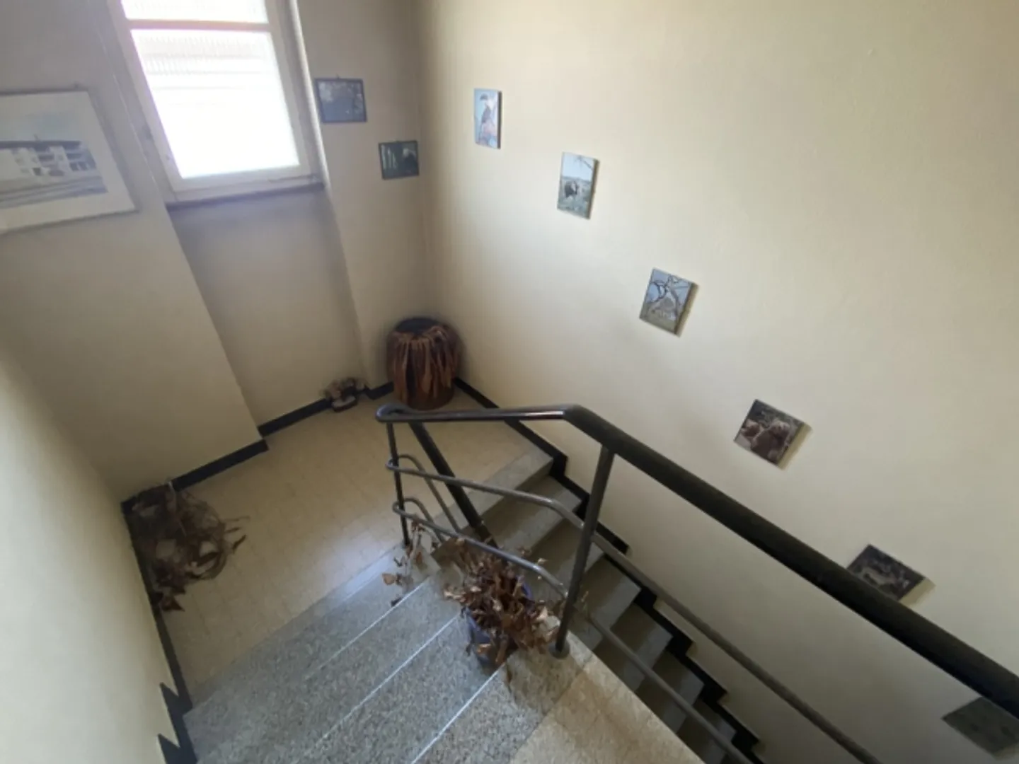 Edificio con 2 appartamenti e uno spazio commerciale - Foto 4 di 13