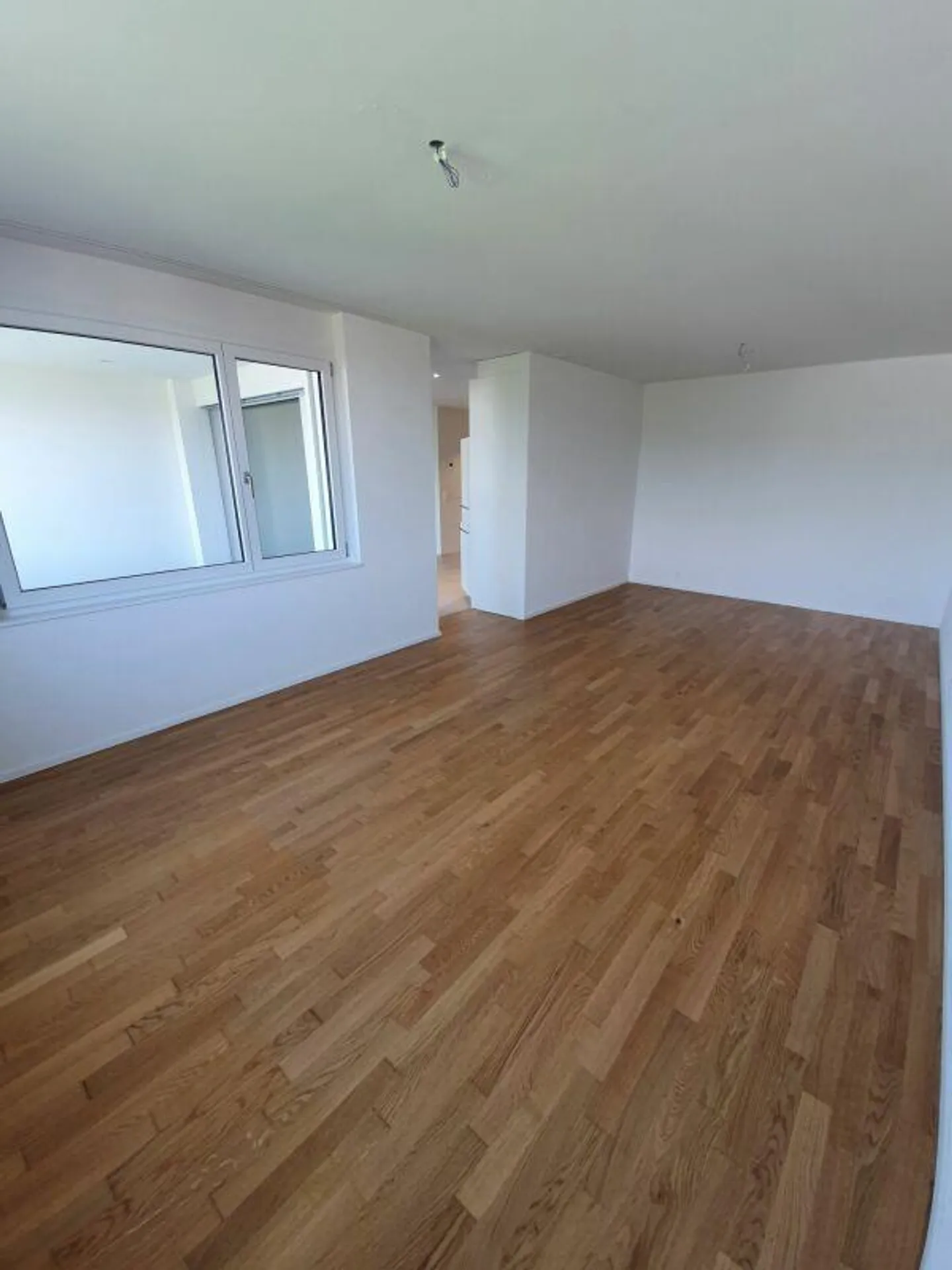 Living at the foot of the Rigi - Photo 4 of 10