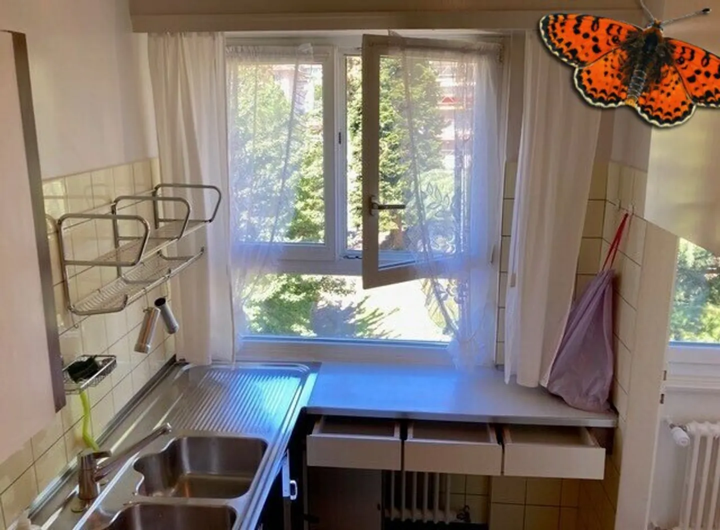 Charming Apartment with Lake View - Photo 7 of 18