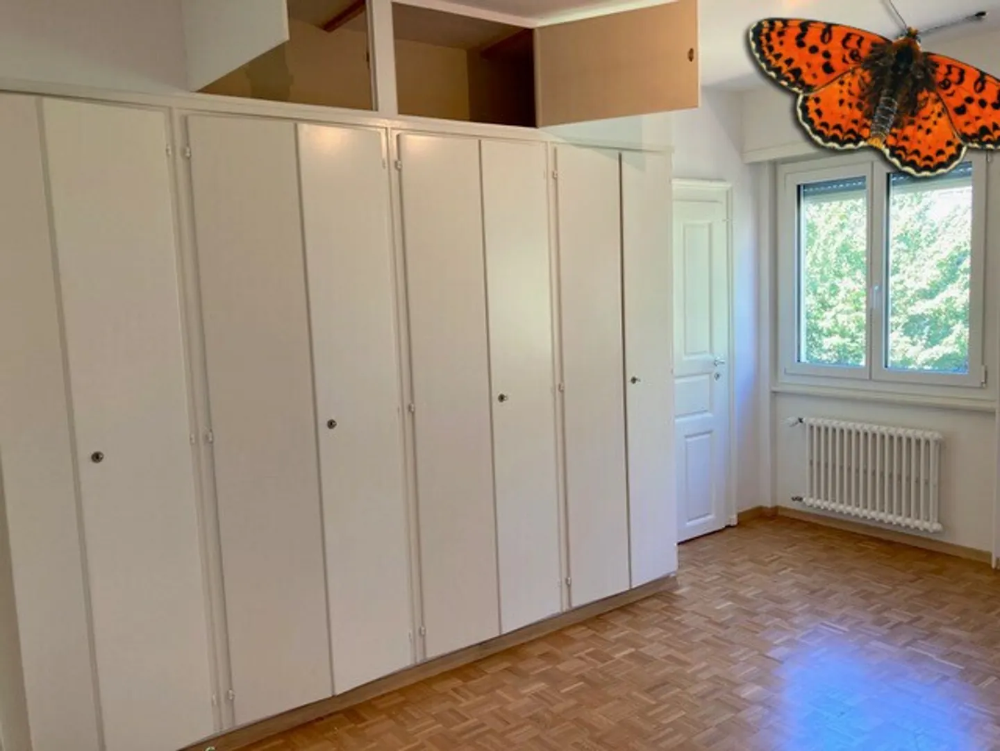 Charming Apartment with Lake View - Photo 9 of 18