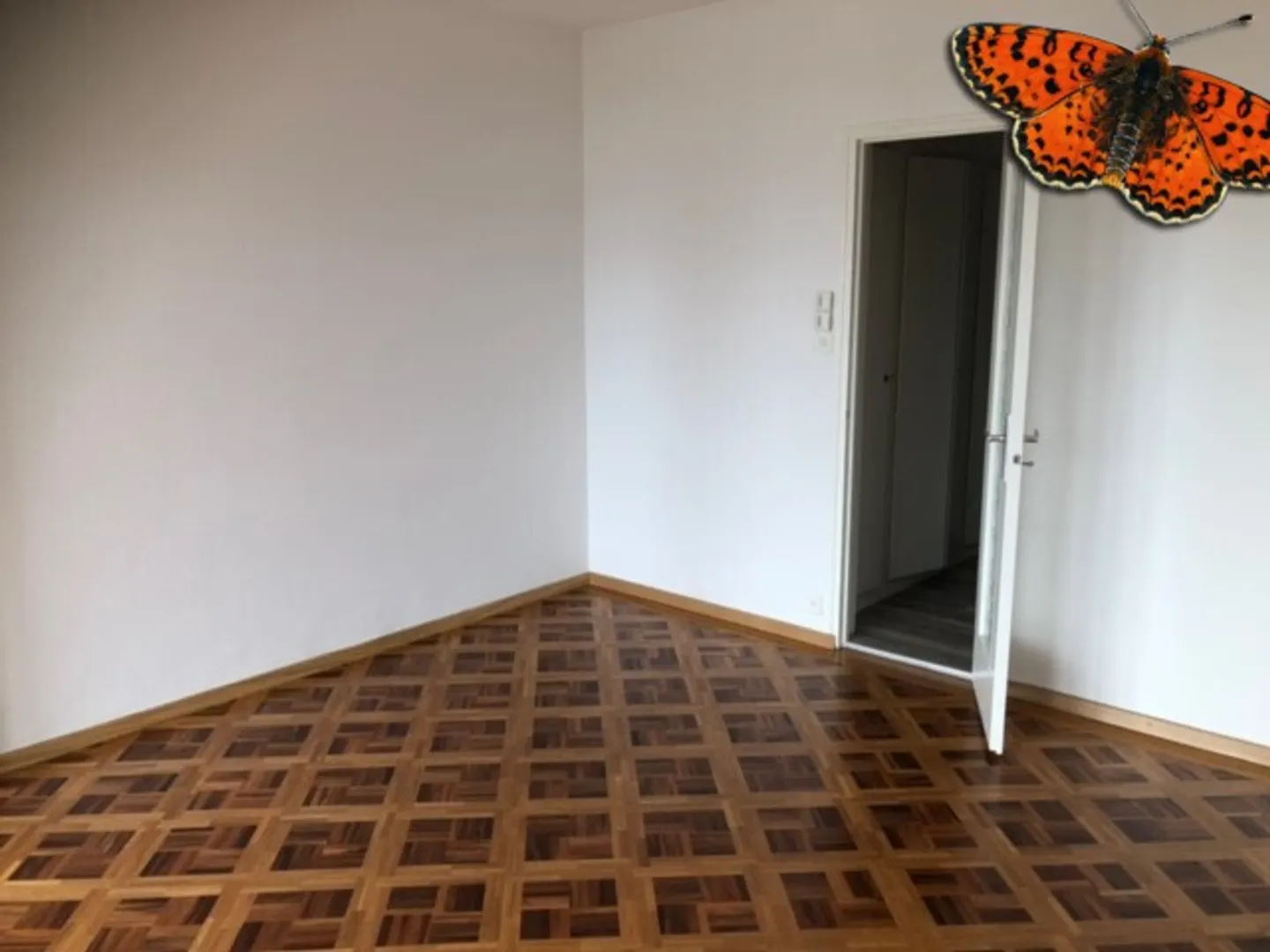 Charming Apartment with Lake View - Photo 10 of 18