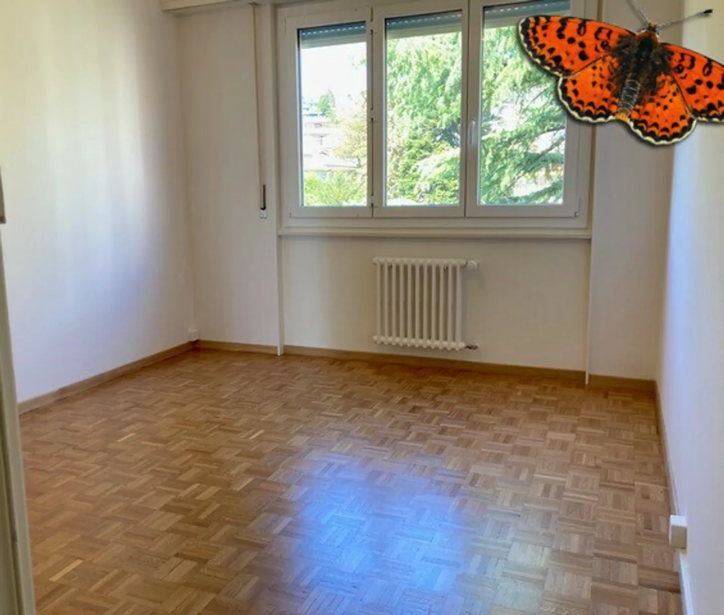 Charming Apartment with Lake View - Photo 8 of 18