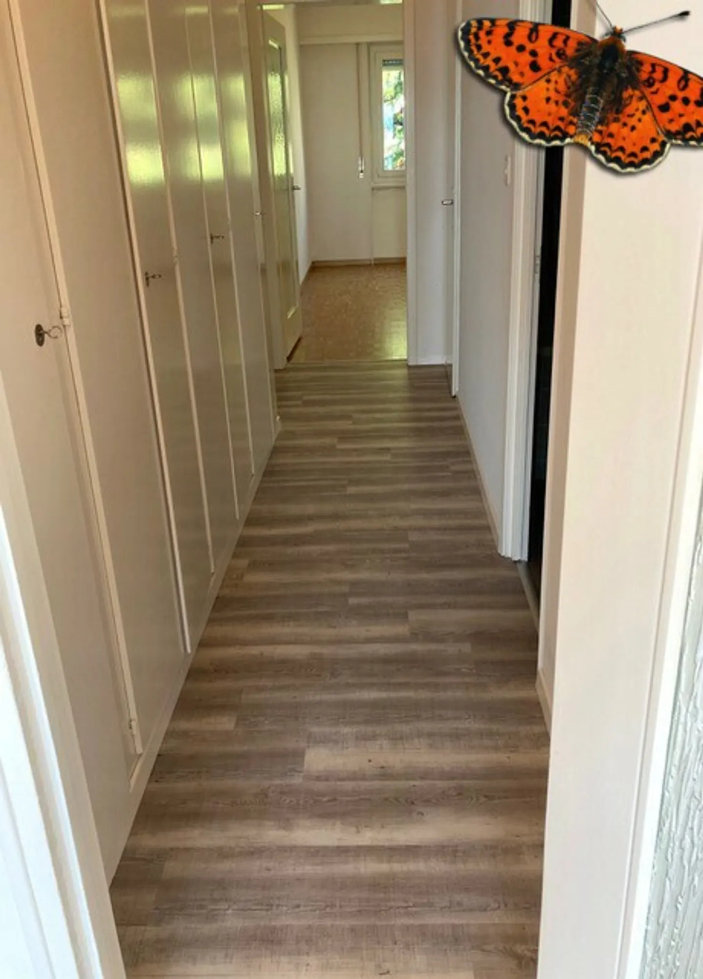 Charming Apartment with Lake View - Photo 11 of 18