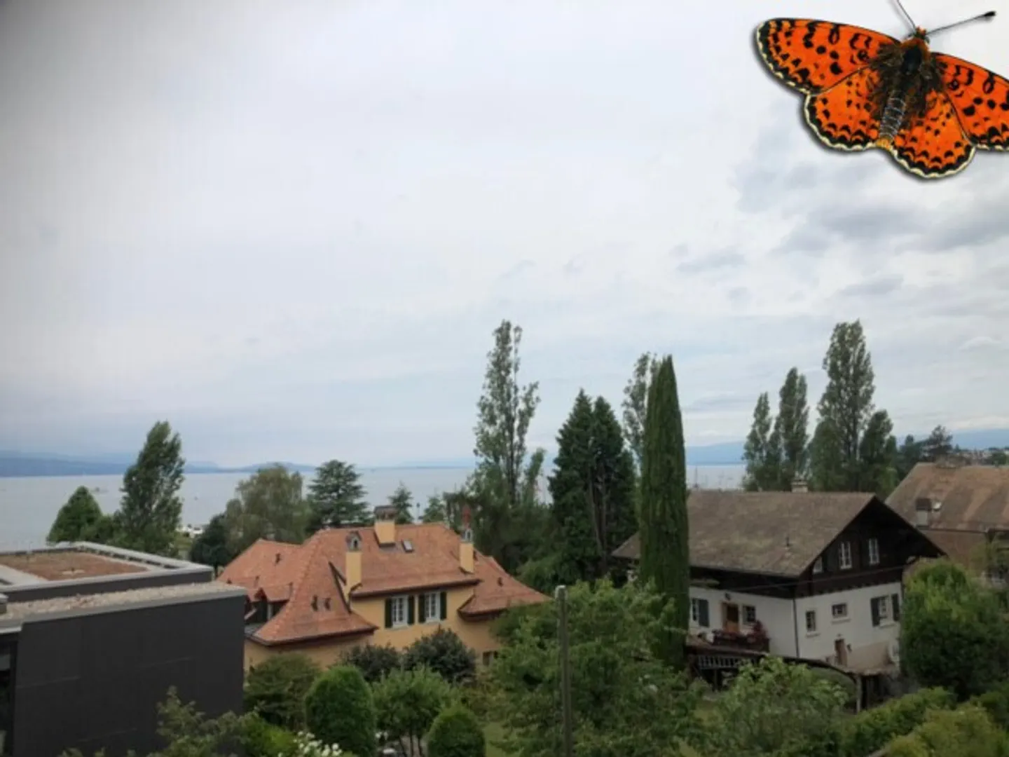 Charming Apartment with Lake View - Photo 18 of 18