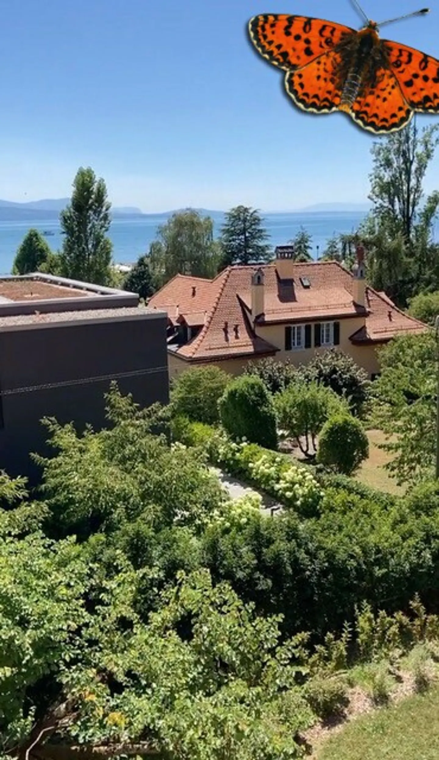 Charming Apartment with Lake View - Photo 17 of 18
