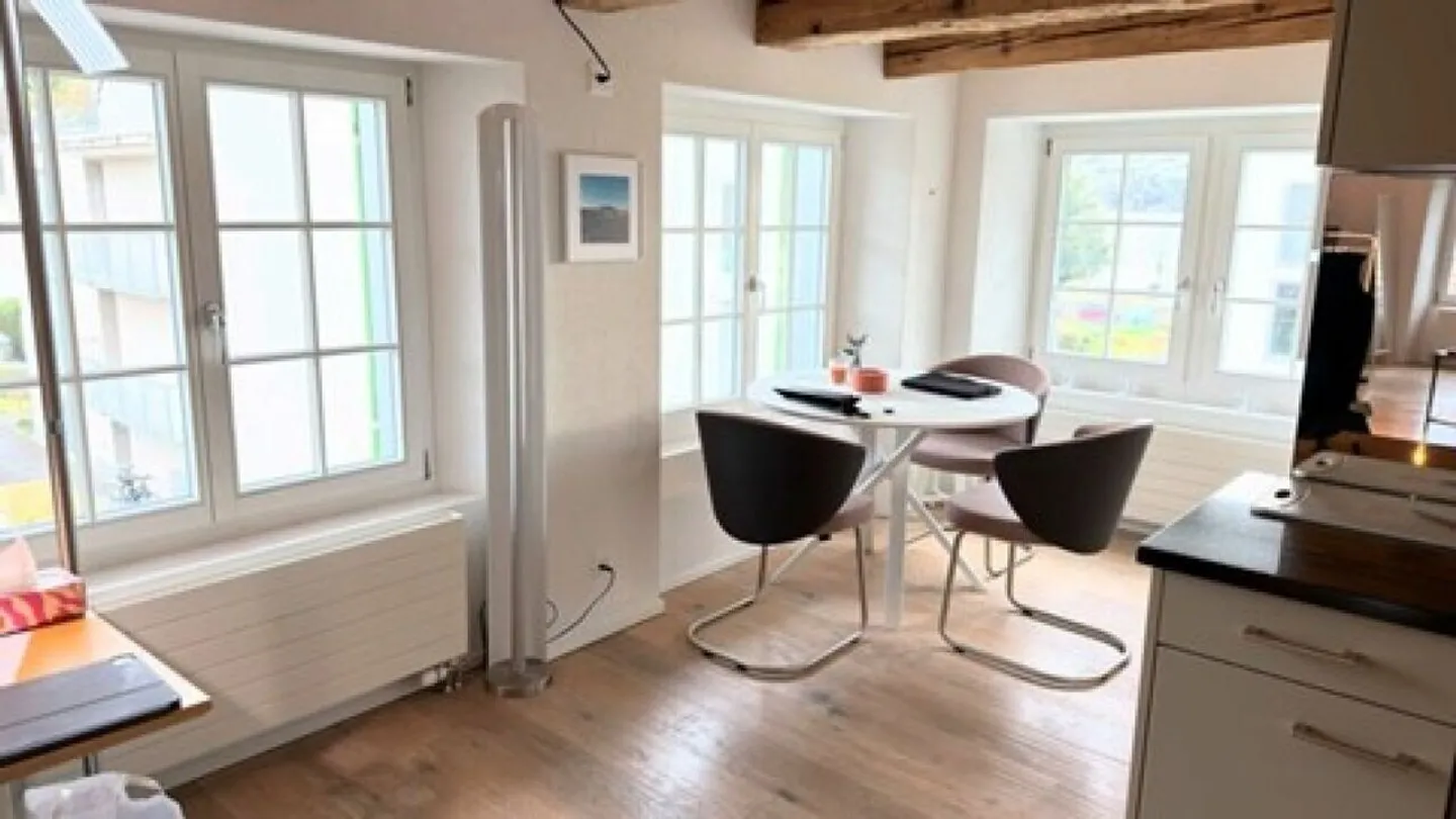 1.5 Room 1st Floor Middle Loft Apartment A5 in Männedorf - Photo 7 of 12