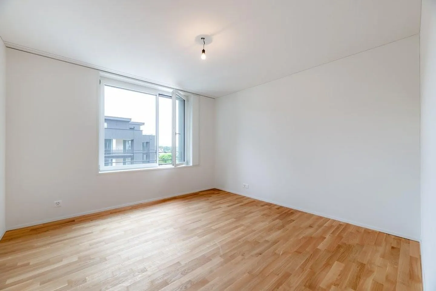 Au milieu du verger - dans un environnement merveilleusement vert - Photo 11 sur 11