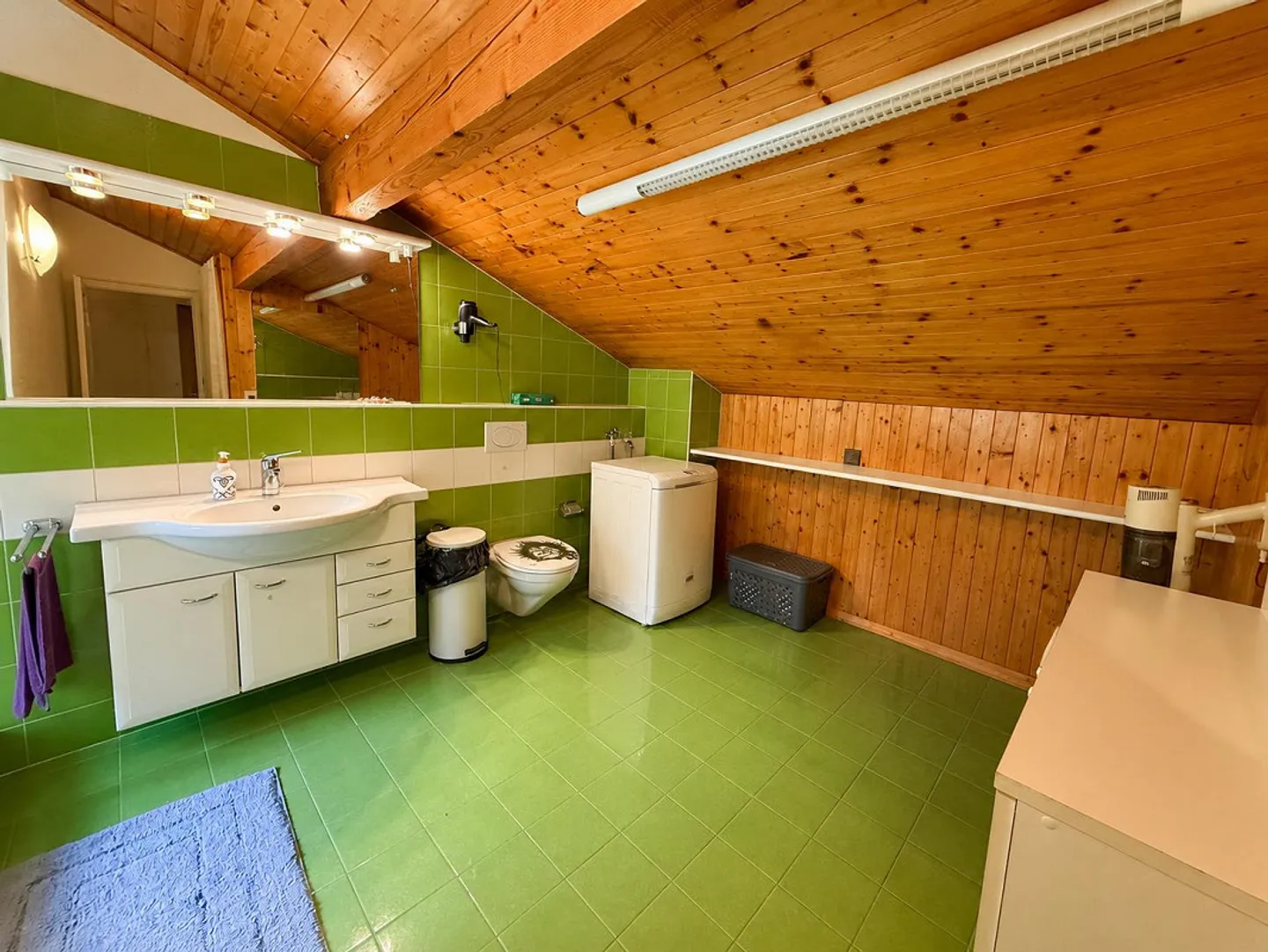 Large Two-Family House of 9 Rooms to Renovate, with Buildable Land - Photo 18 of 24