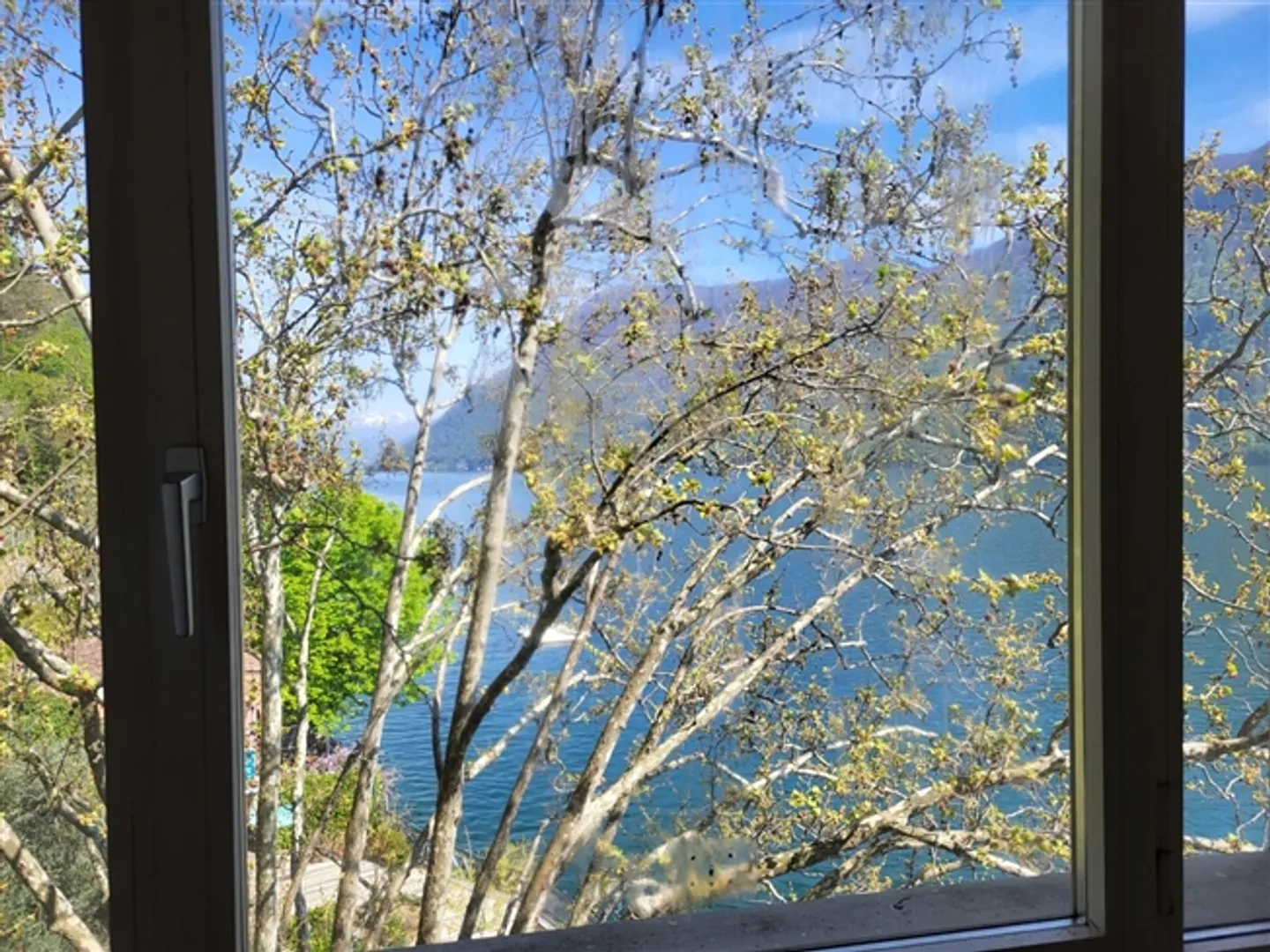 Progetto di ristrutturazione di Lugano direttamente sul lago - Foto 2 di 11