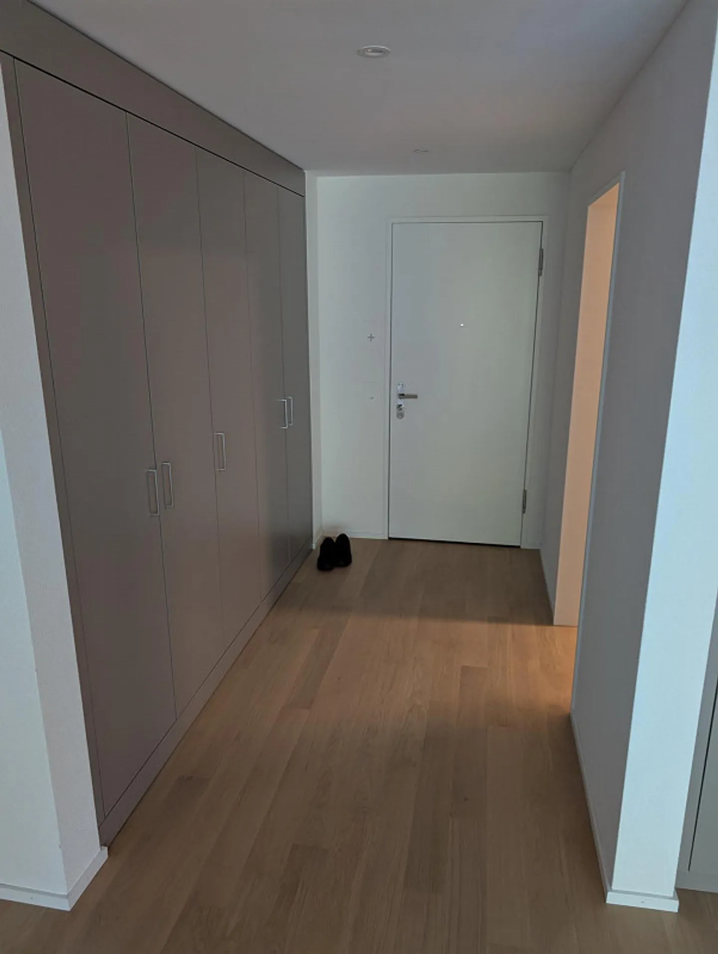 Cercasi nuovo inquilino in nuovo edificio a Matzingen - Foto 1 di 11