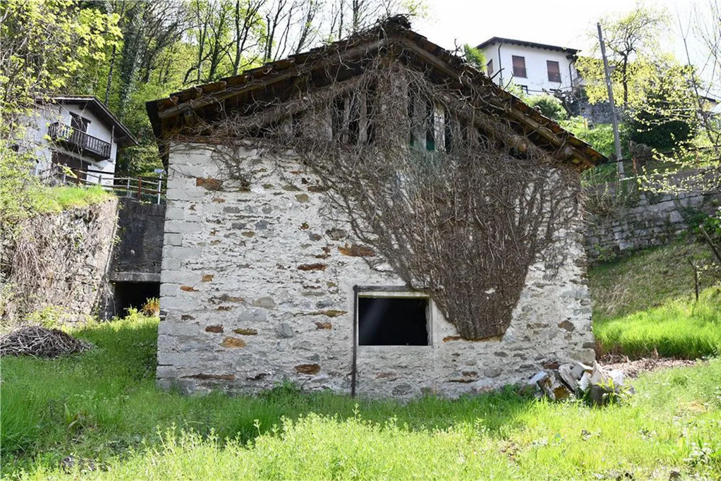 Gambarogno - building plot - Photo 7 of 13