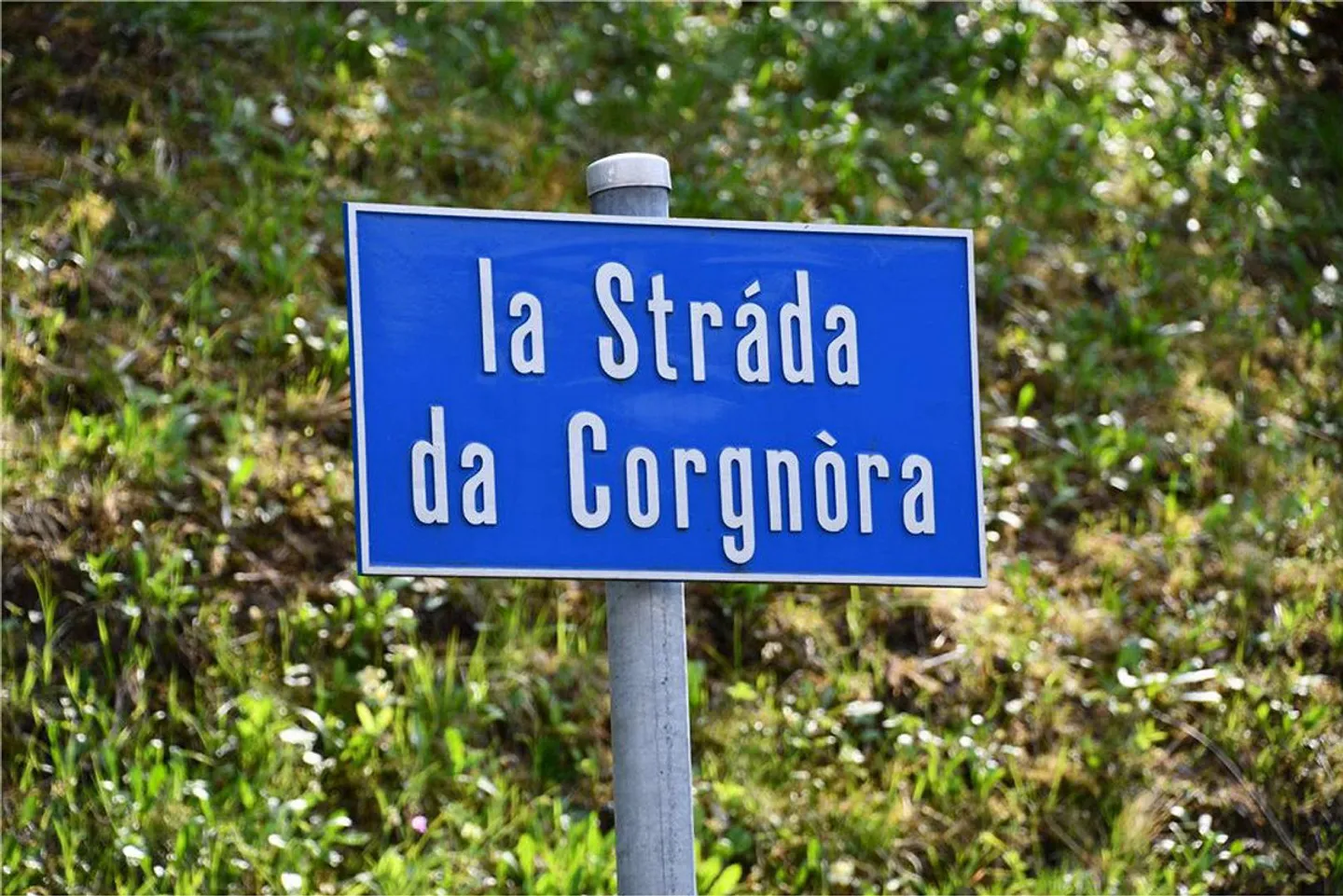 Gambarogno - building plot - Photo 8 of 13