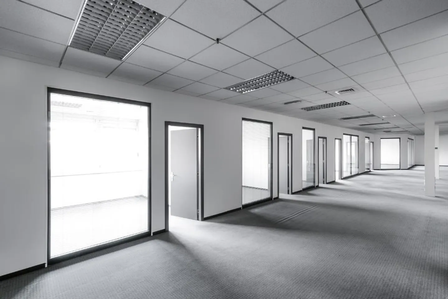 LUGANO NORD - Helle Bürofläche von 990 m² zu vermieten (Ref. 210) - Foto 1 von 20