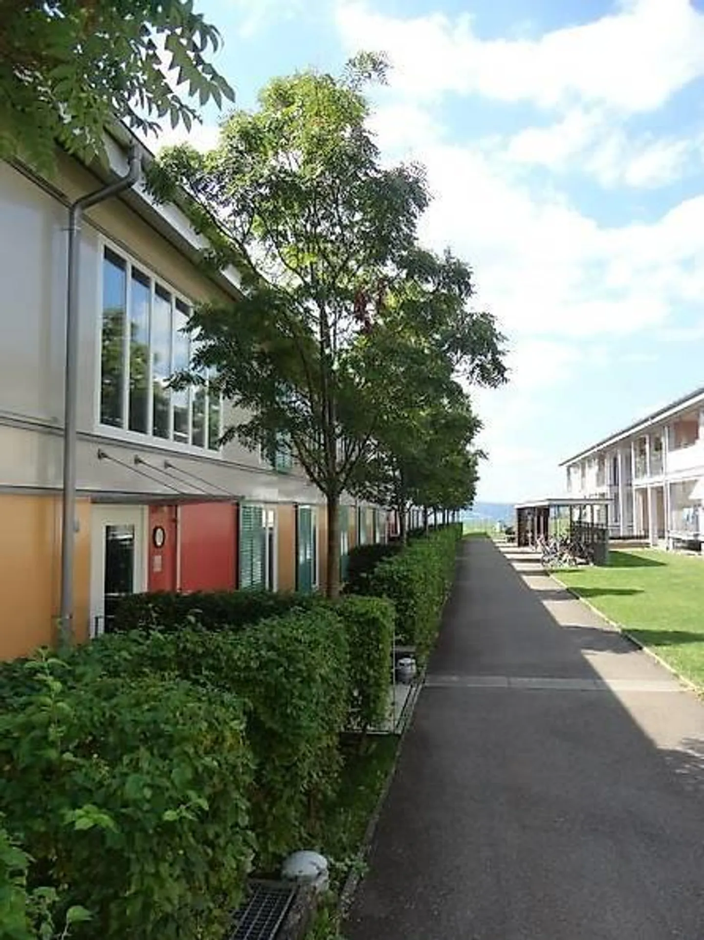 Senza nebbia - Vicino alla città - Sentirsi bene - Foto 2 di 13