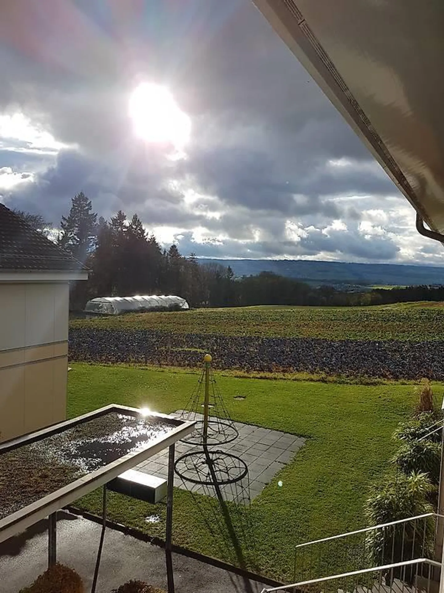 Senza nebbia - Vicino alla città - Sentirsi bene - Foto 11 di 13