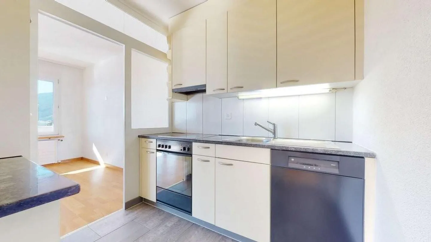 Living near Lake Biel - Photo 3 of 11