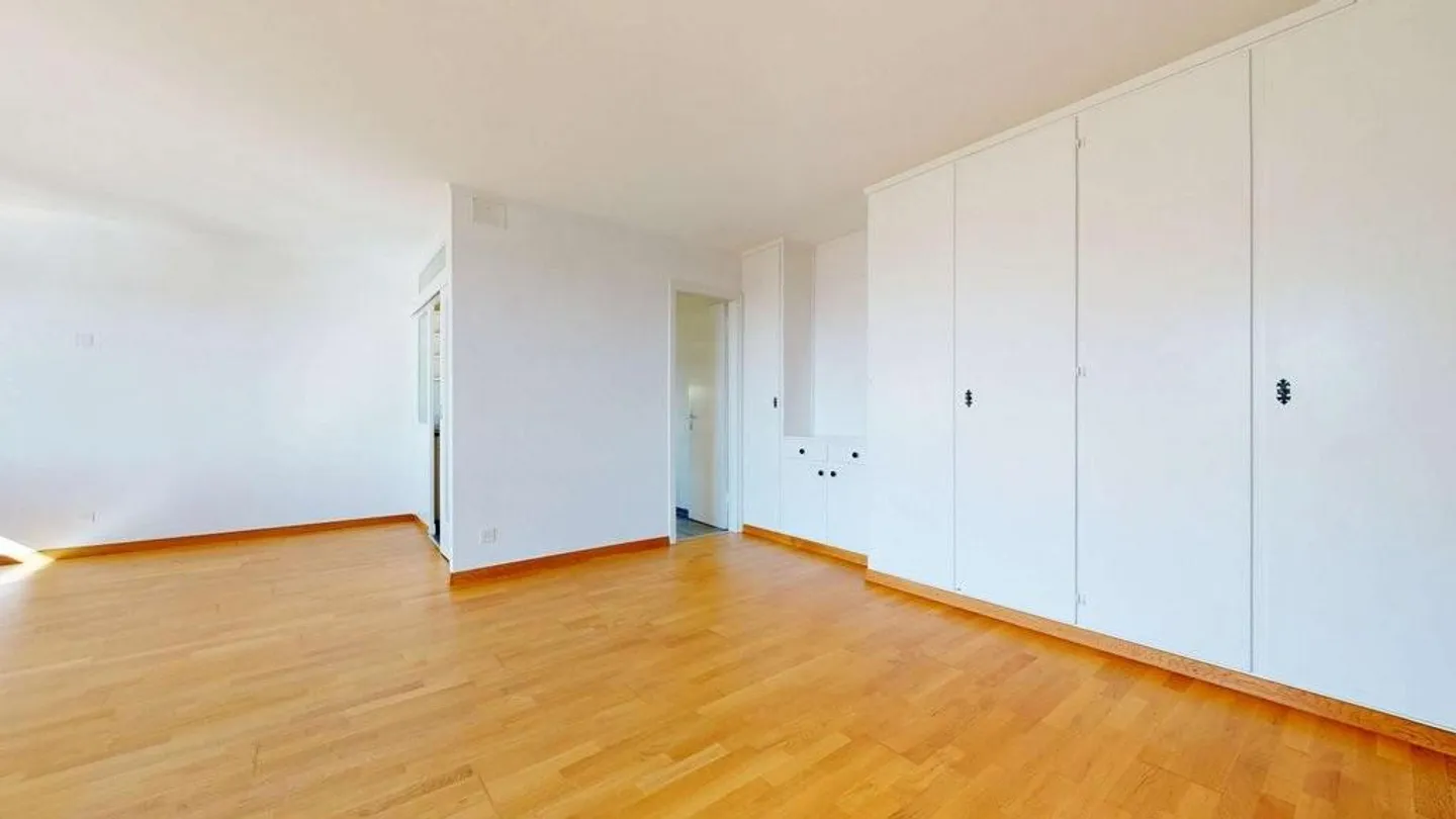 Living near Lake Biel - Photo 4 of 11