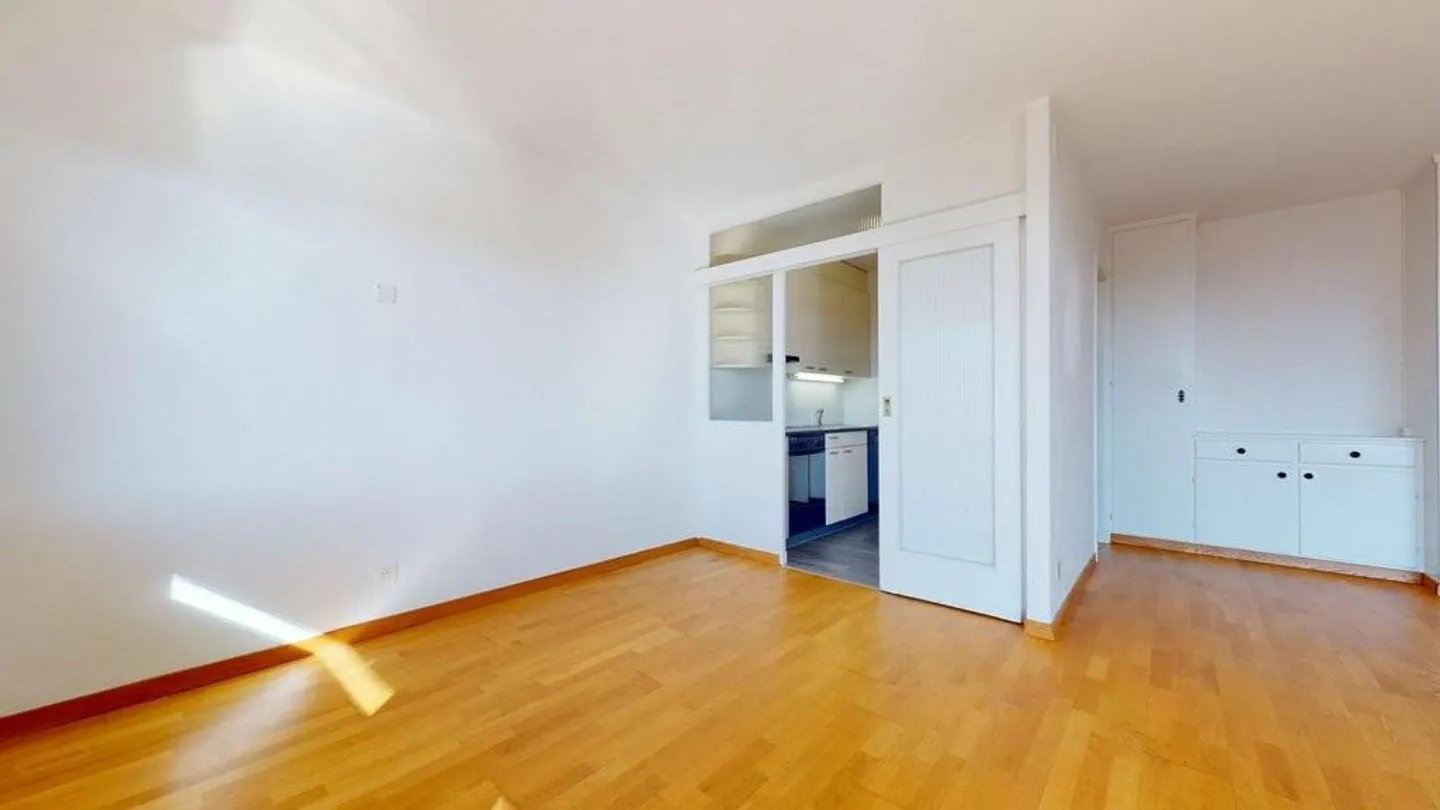 Living near Lake Biel - Photo 5 of 11