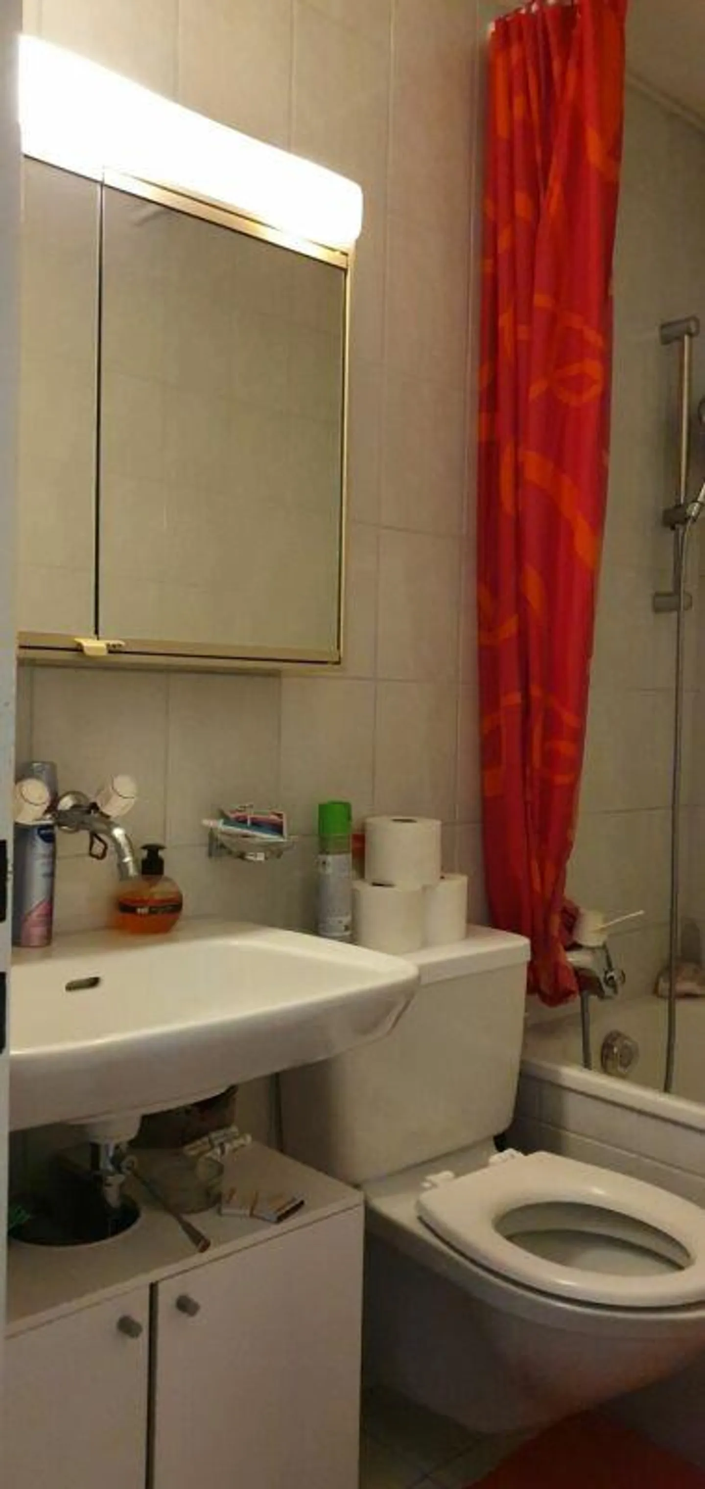 Beautiful spacious 3.5-room apartment with a large terrace - Photo 8 of 13