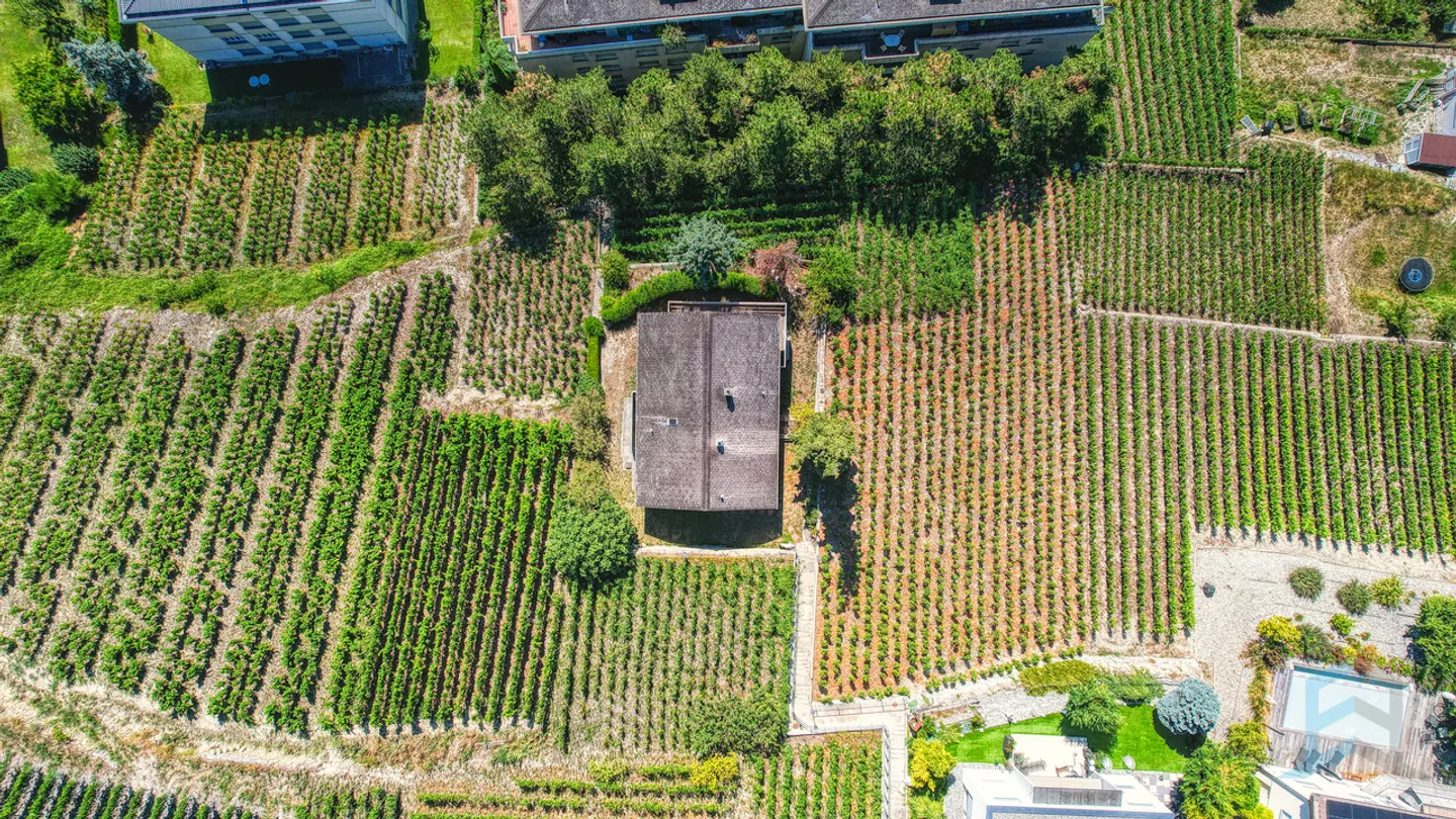 Exklusive charmante 2-Einheiten-Haus im Herzen des Sierrois-Weinbergs - Foto 15 von 15