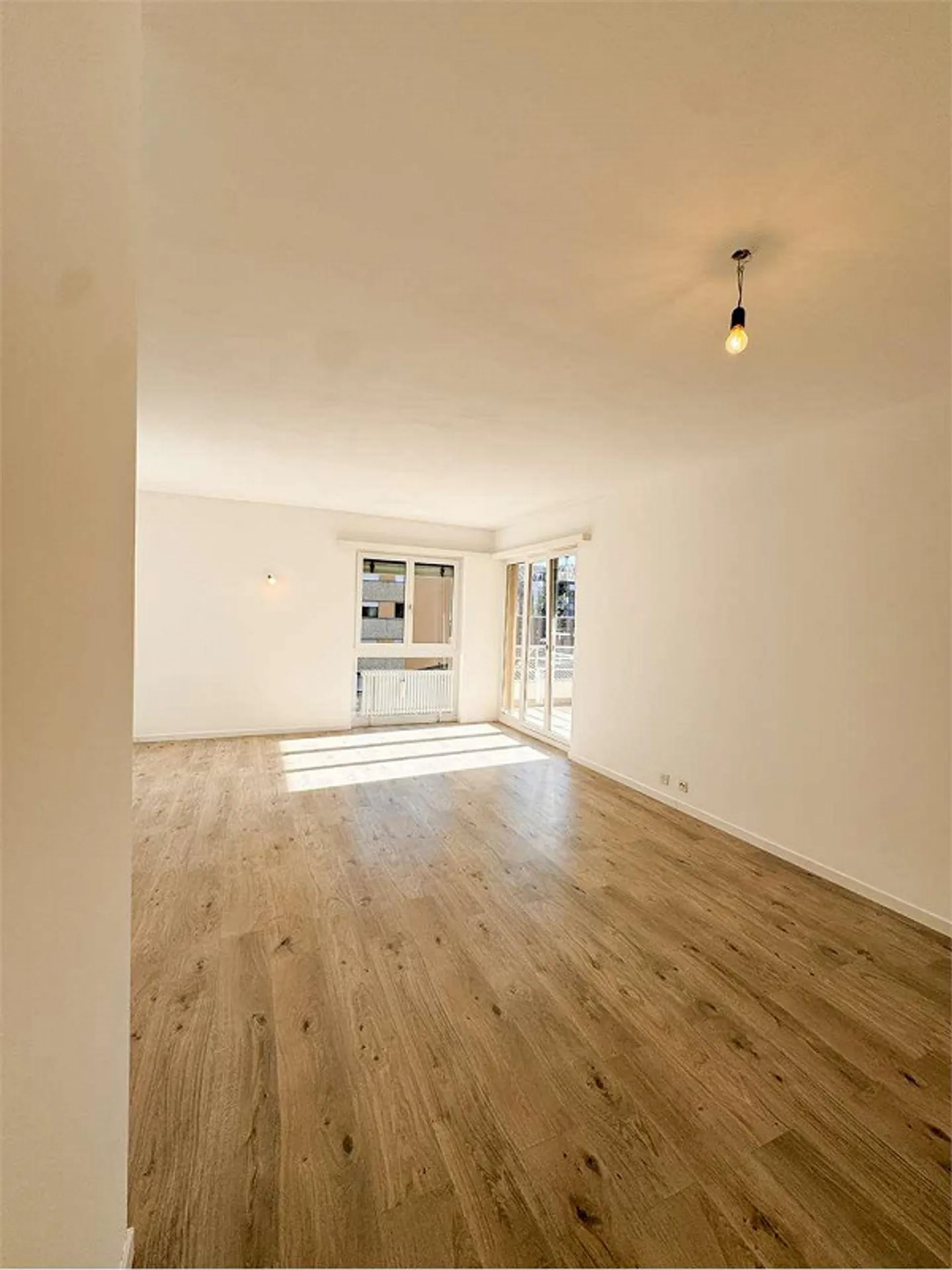 3.5 RENOVATED APARTMENT IN AGNO - Photo 1 of 13