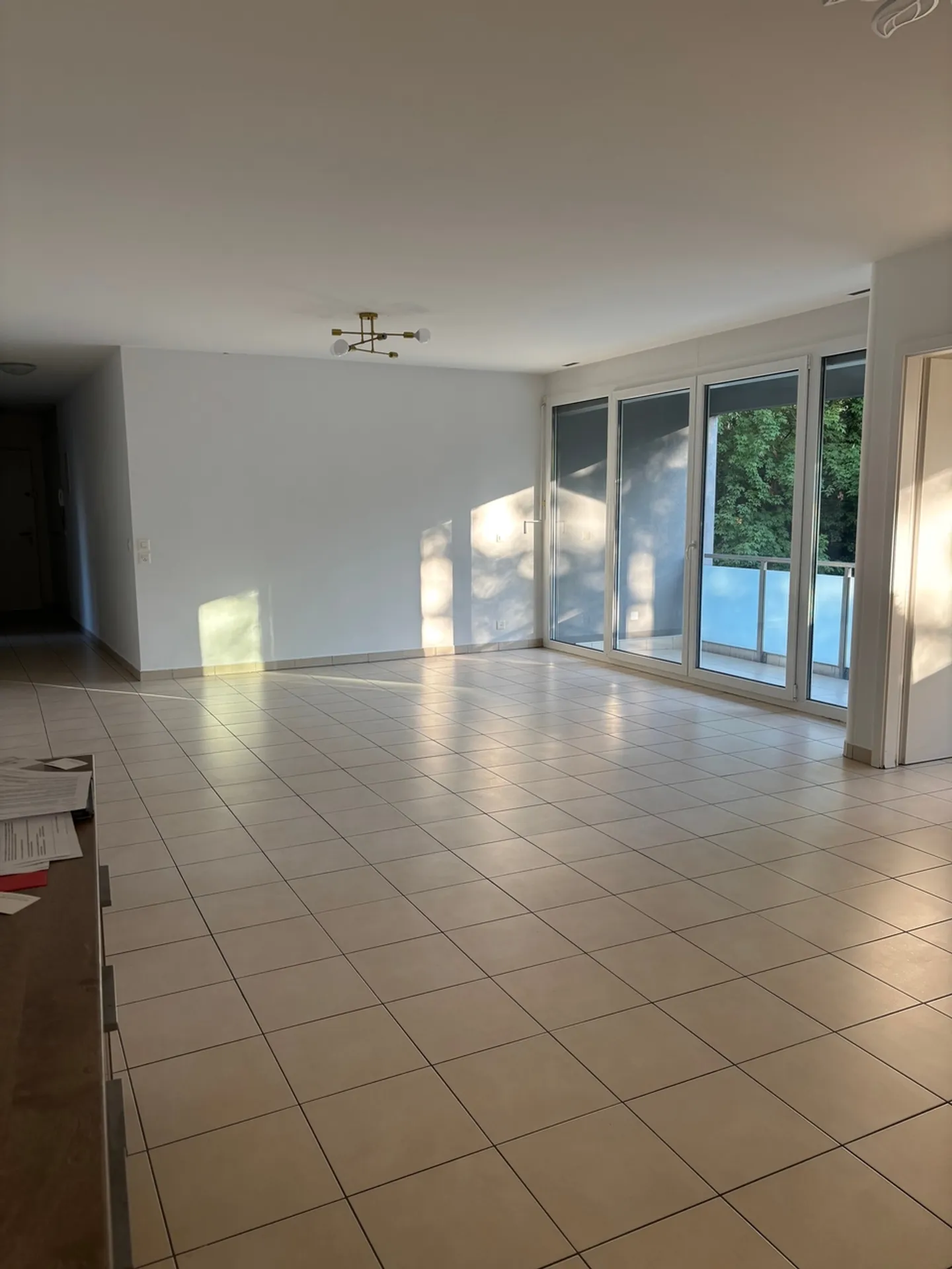 Appartement lumineux et spacieux à Versoix - Photo 1 sur 7