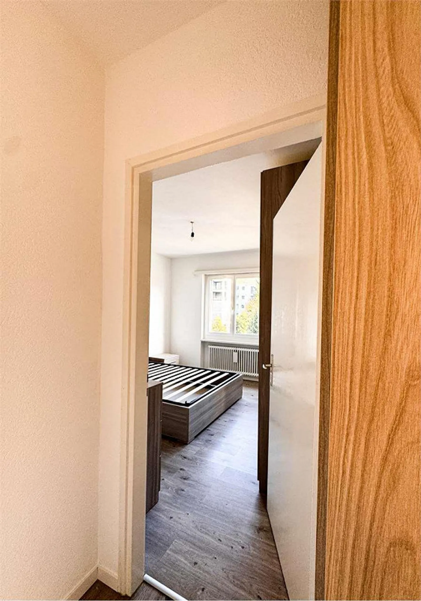 3.5 RENOVATED APARTMENT IN AGNO - Photo 13 of 13