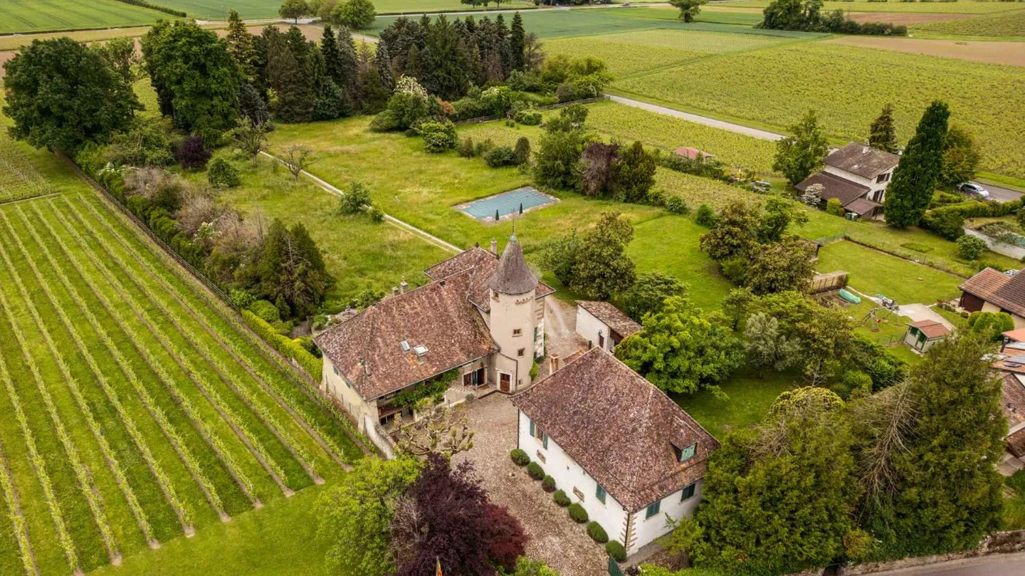 Château Historique avec Parc - Photo 12 sur 12