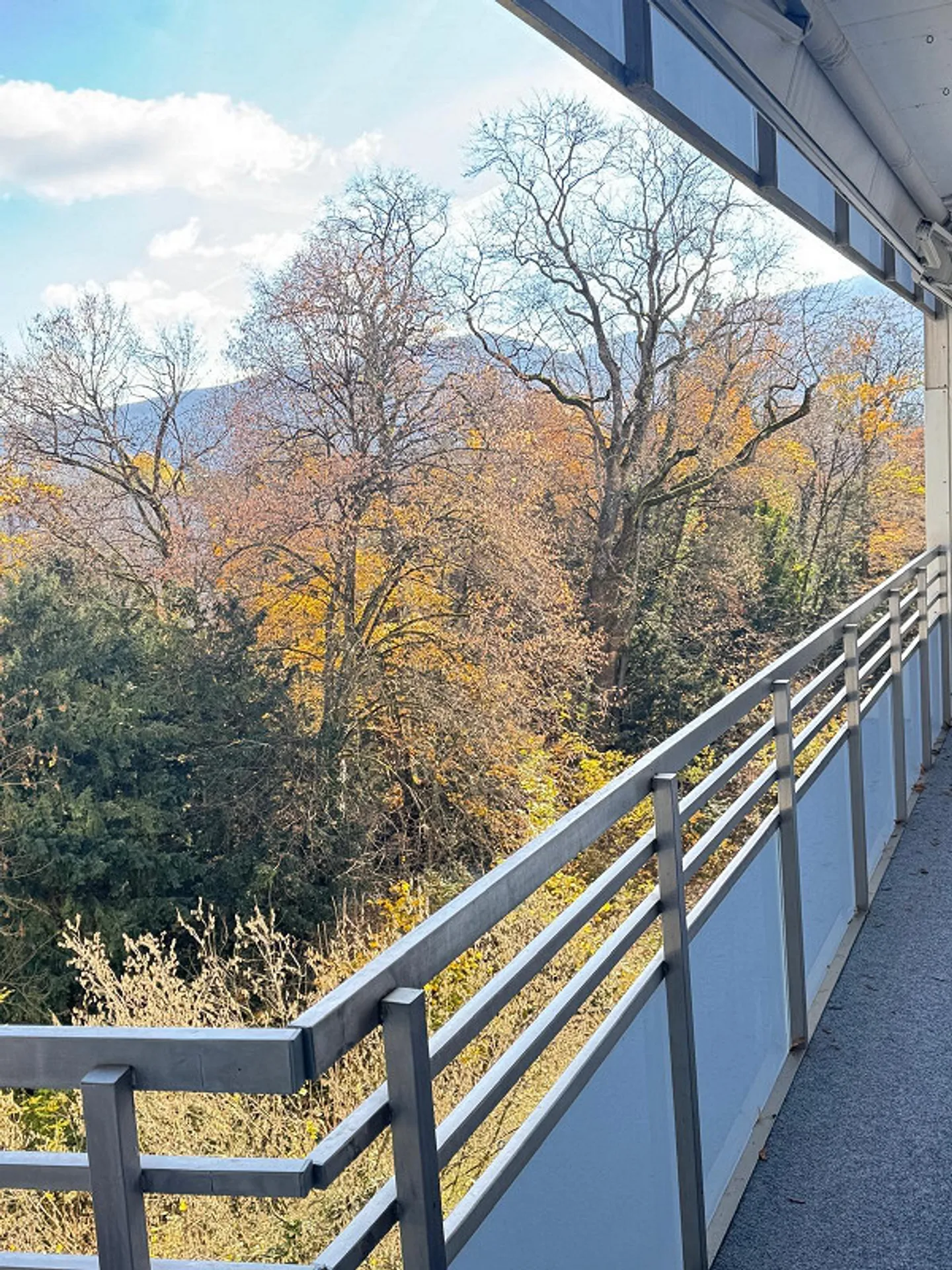 Ampio appartamento familiare con vista sul parco – quarti - Foto 8 di 9