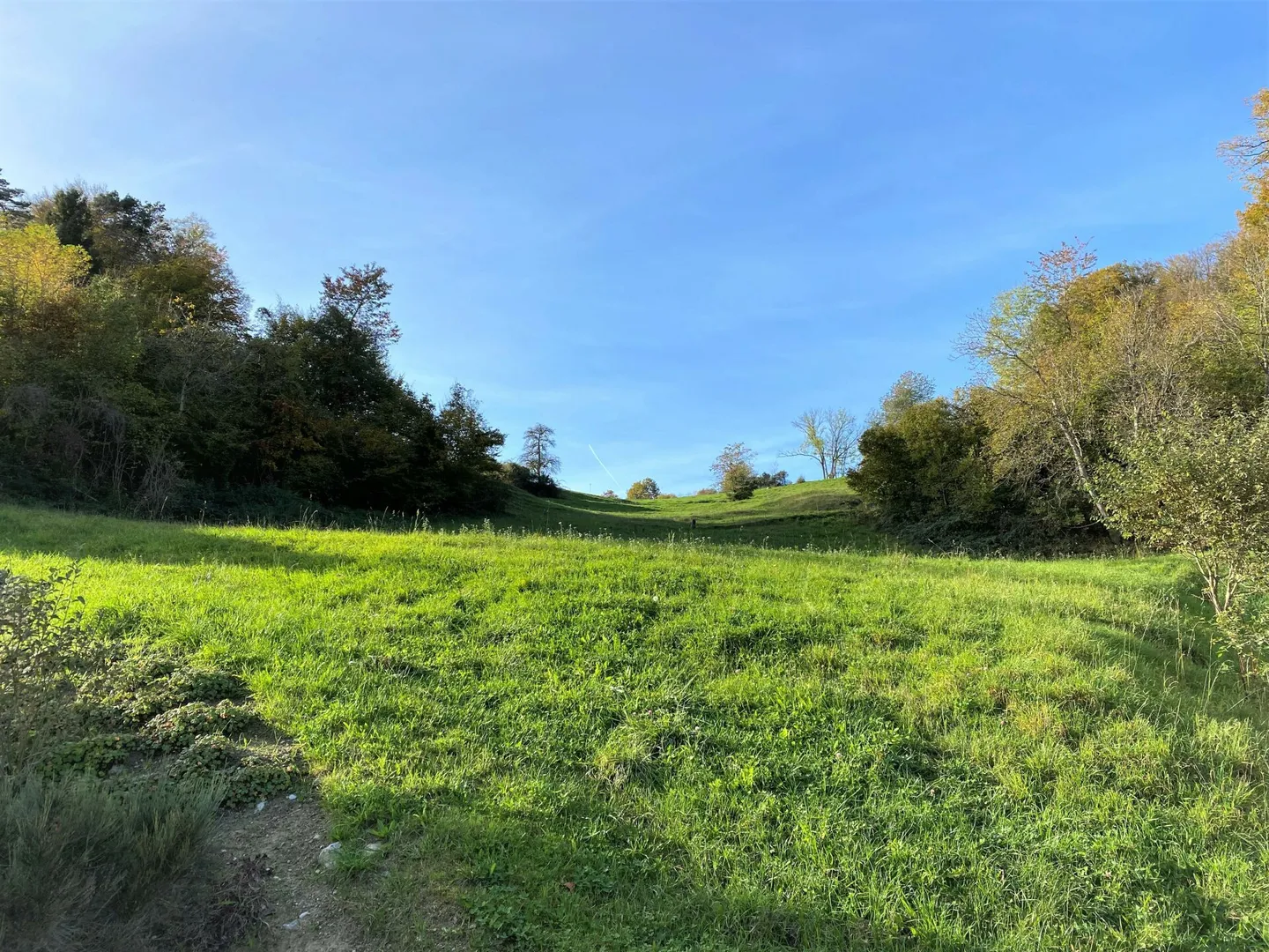 Exclusive plot with a wide view in a well-sunned hillside location - Photo 7 of 9