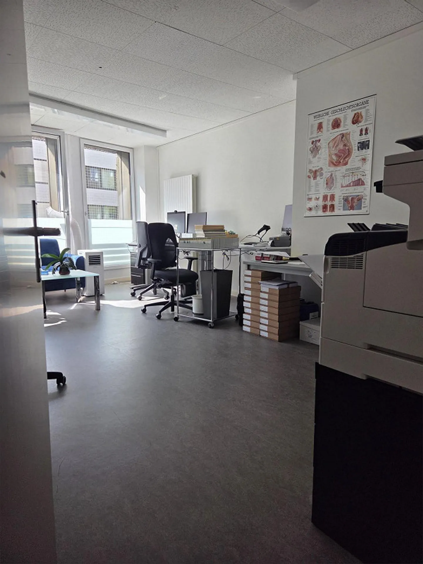 schöne helle Praxis oder Büroraum zwischen Bankverein und Aeschenplatz - Foto 2 von 4