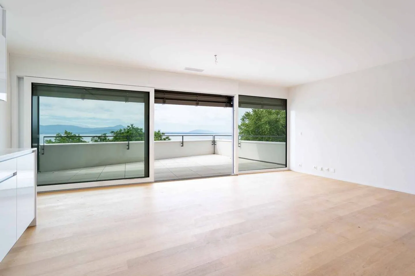 Unico! Attico di 5,5 stanze con 180m2, che offre una terrazza sul tetto di 168m2 con vista panoramica sul lago e sulle Alpi - Foto 2 di 13