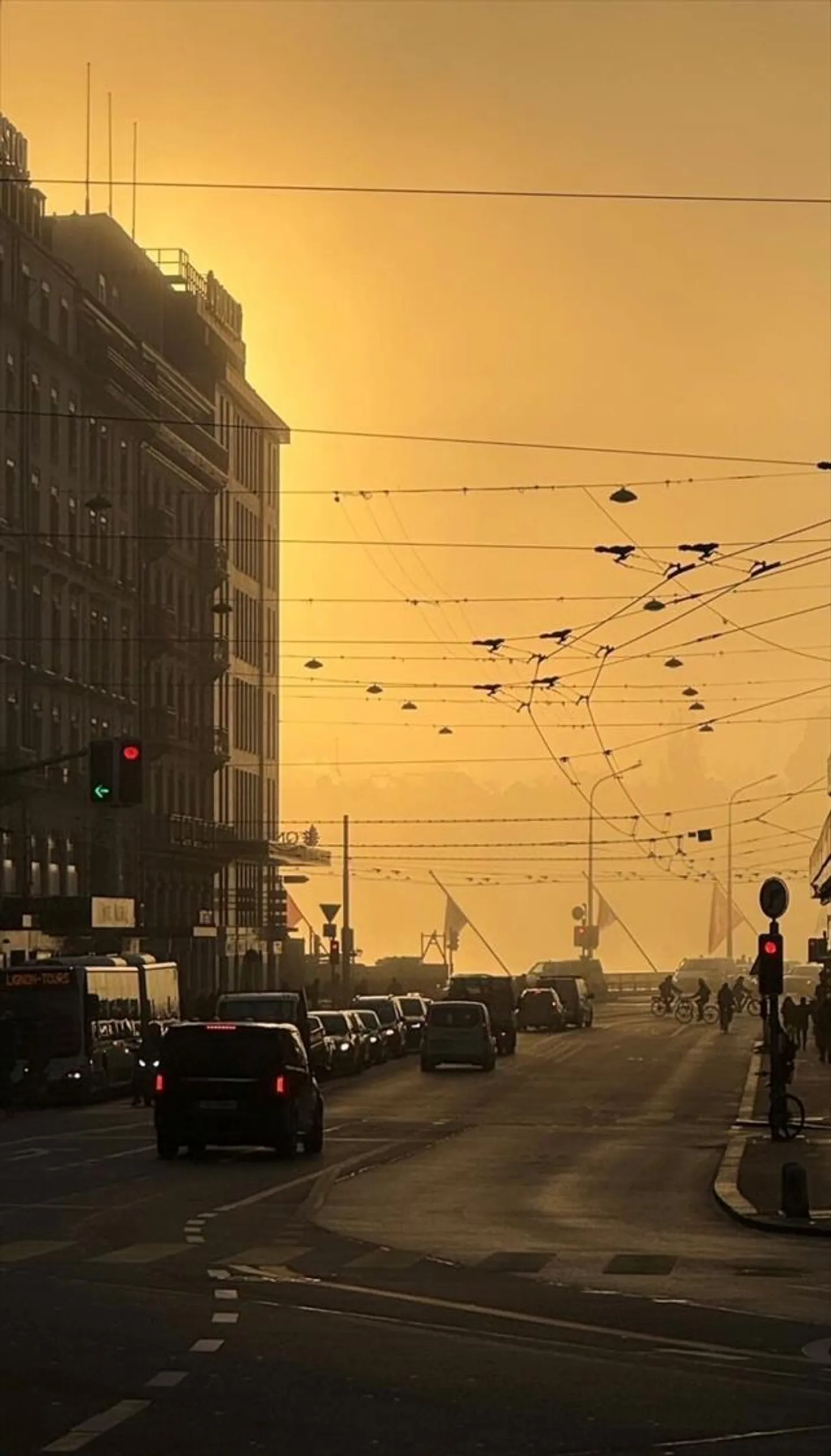 Arcade commerciale eccezionale - Quai du Mont-Blanc - Foto 1 di 1