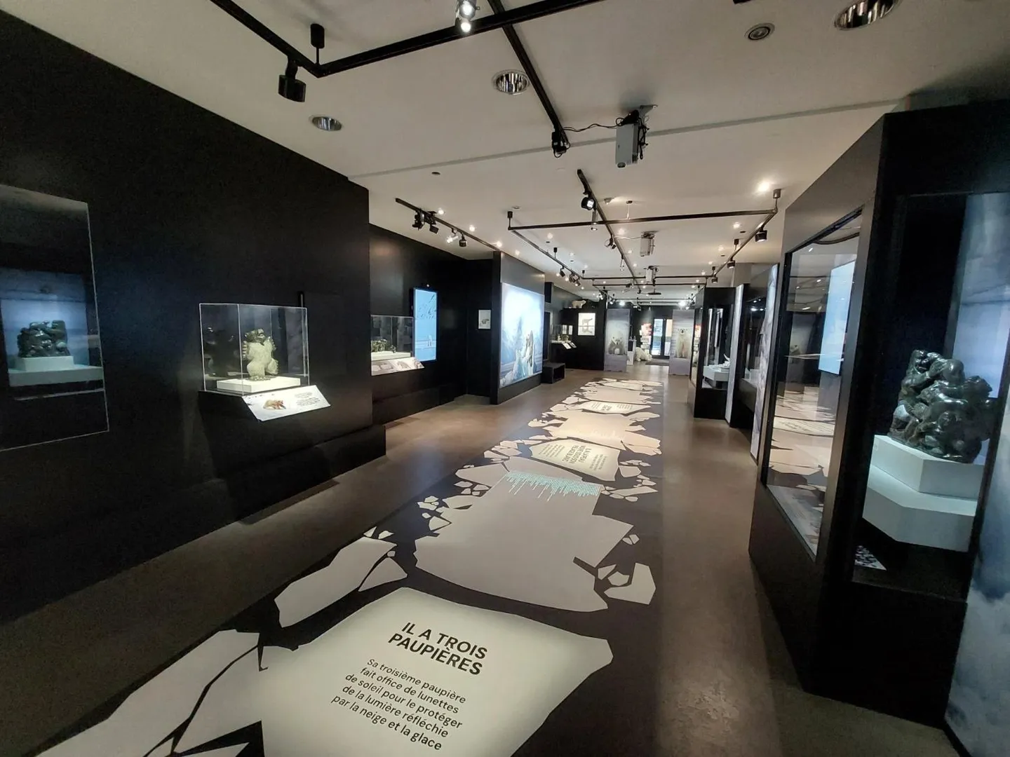 Espace Commercial de Premier Choix - Photo 4 sur 7