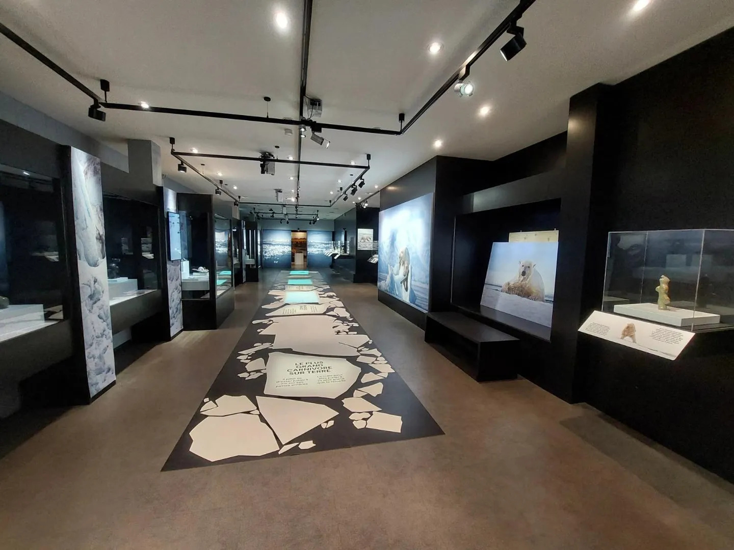 Espace Commercial de Premier Choix - Photo 6 sur 7